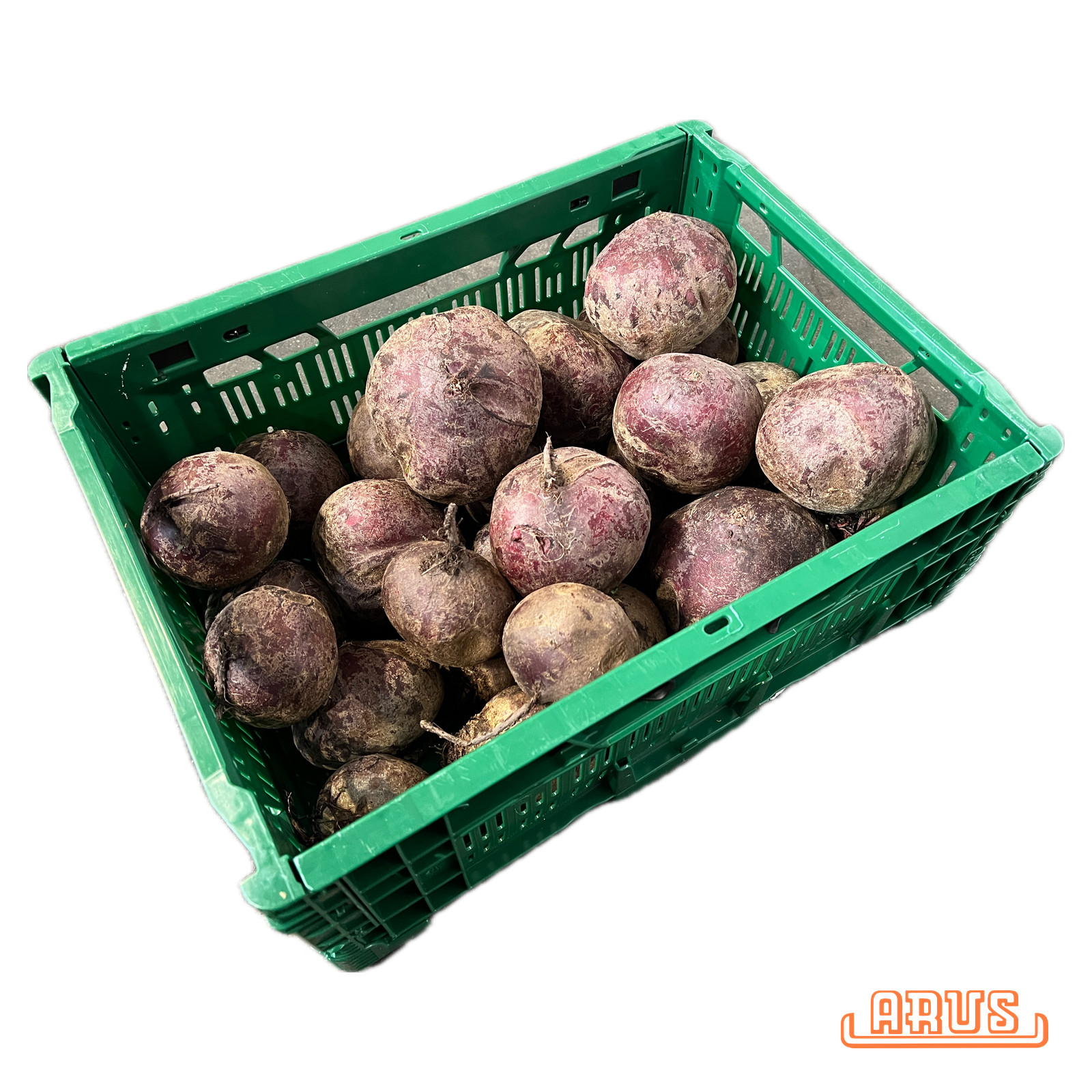 Rote Beete 5kg - POOL -