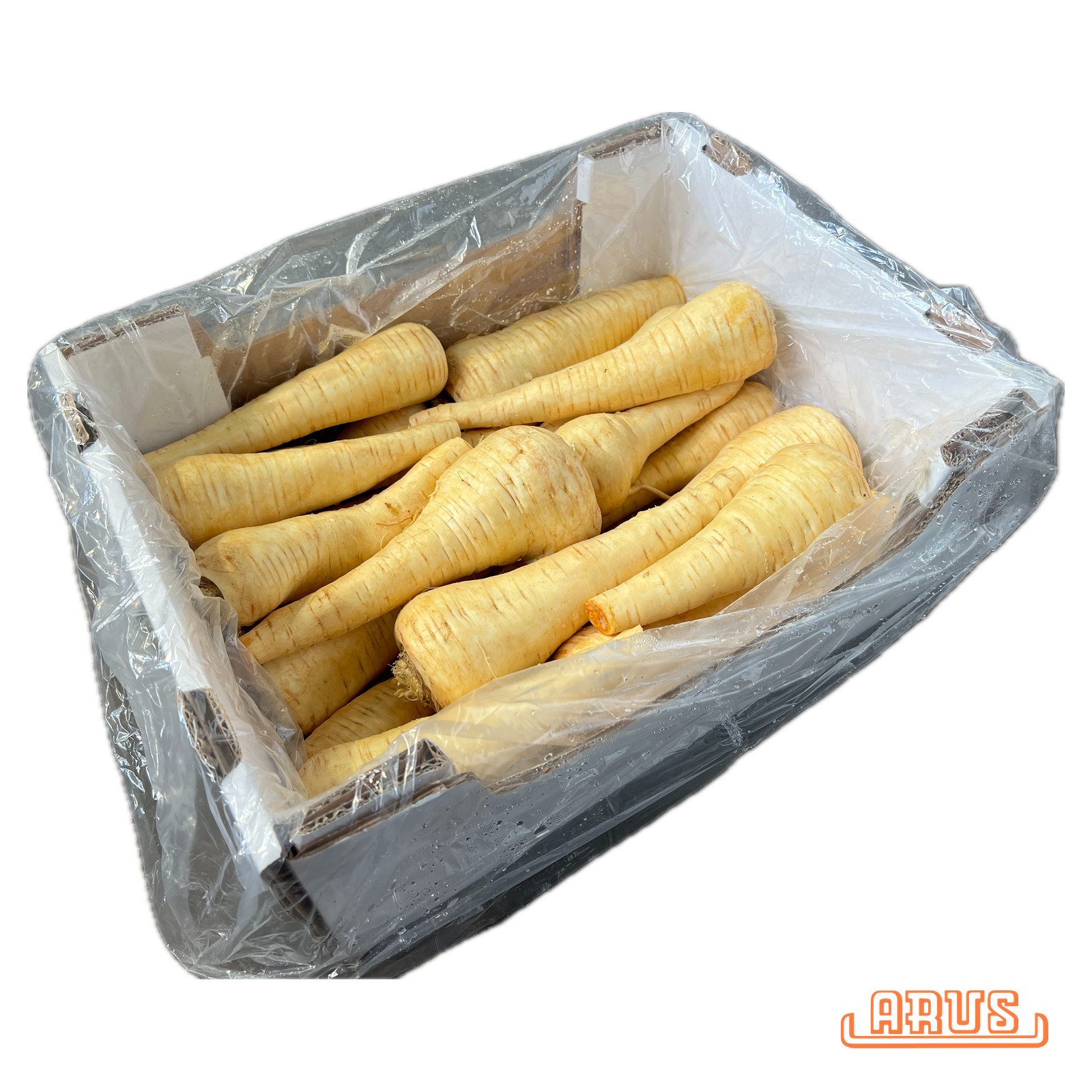 Pastinaken 5kg