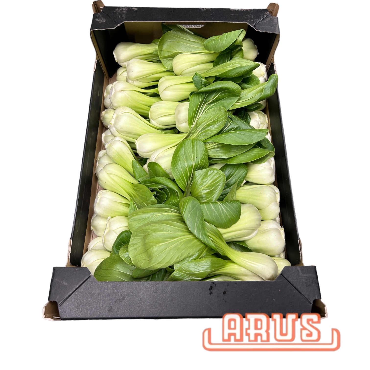 Pak Choi 5kg