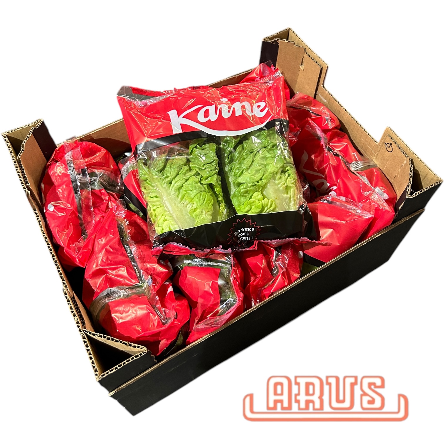 Salatherzen "Mini Romanasalat" 10x2 Stück -span.-