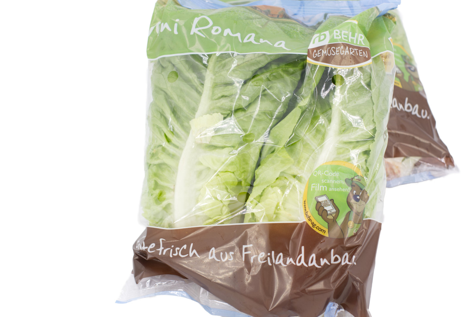 Salatherzen "Mini Romanasalat" 12x2 Stück - span. -