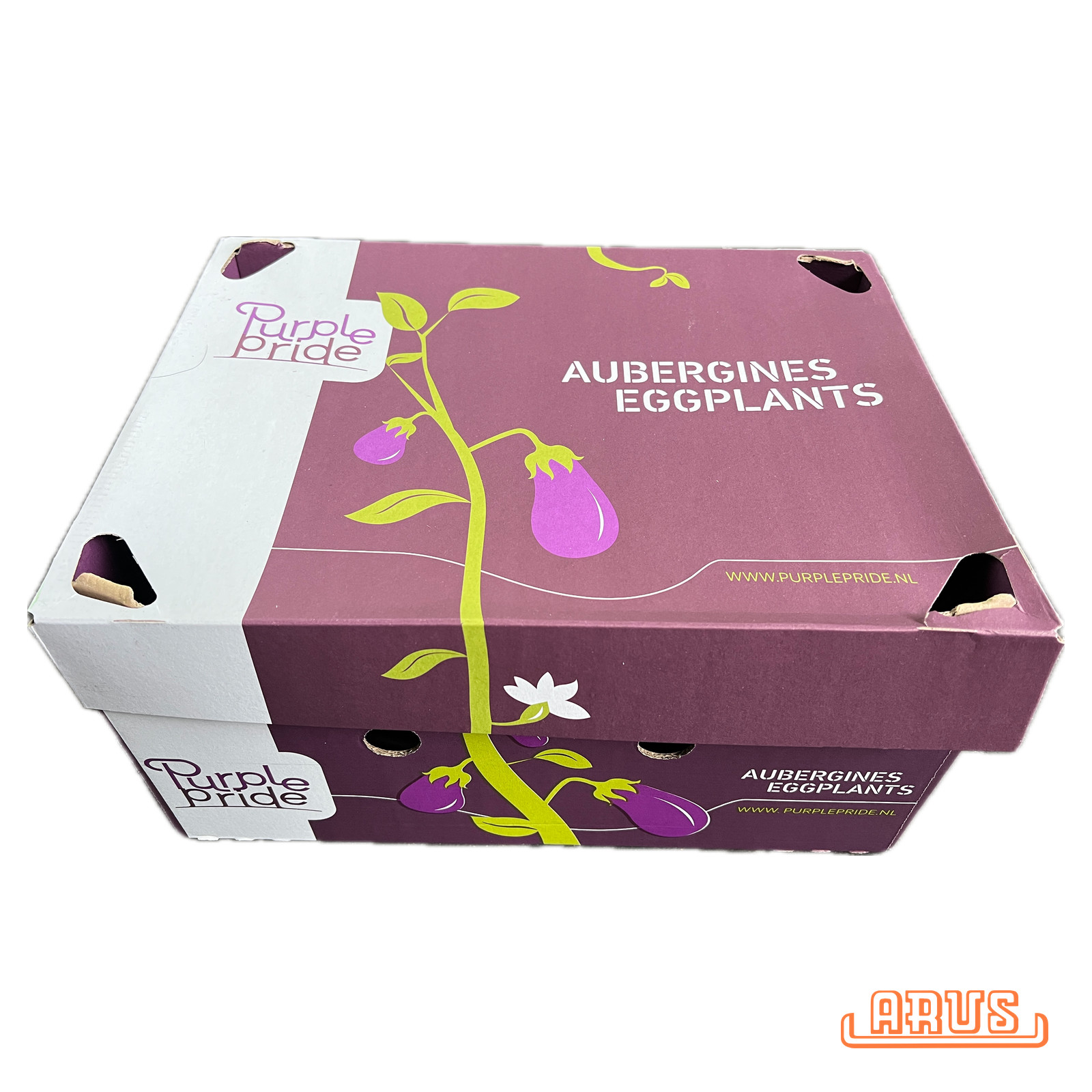 Auberginen 16 Stück 5kg - niederl. -