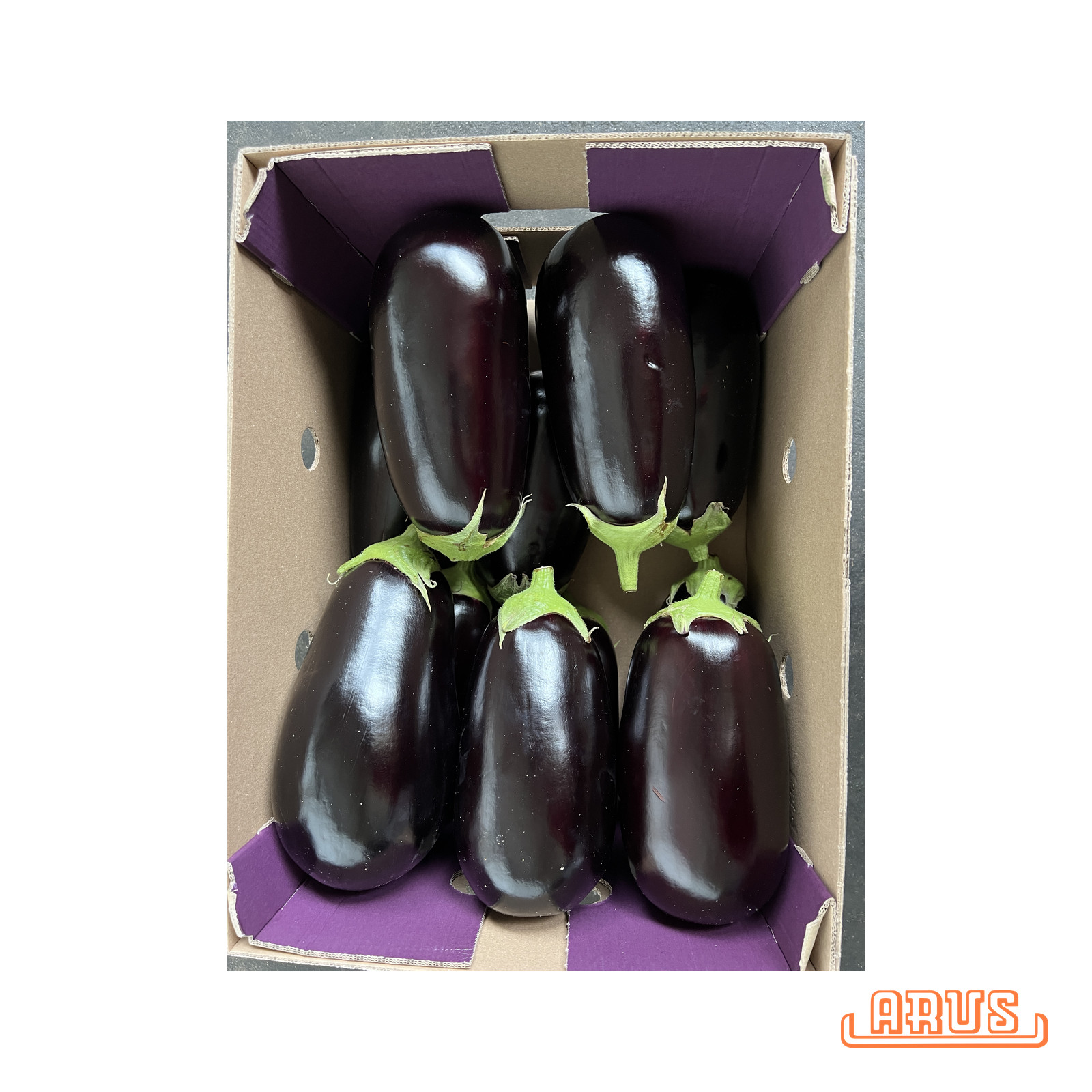 Auberginen 16 Stück 5kg - niederl. -