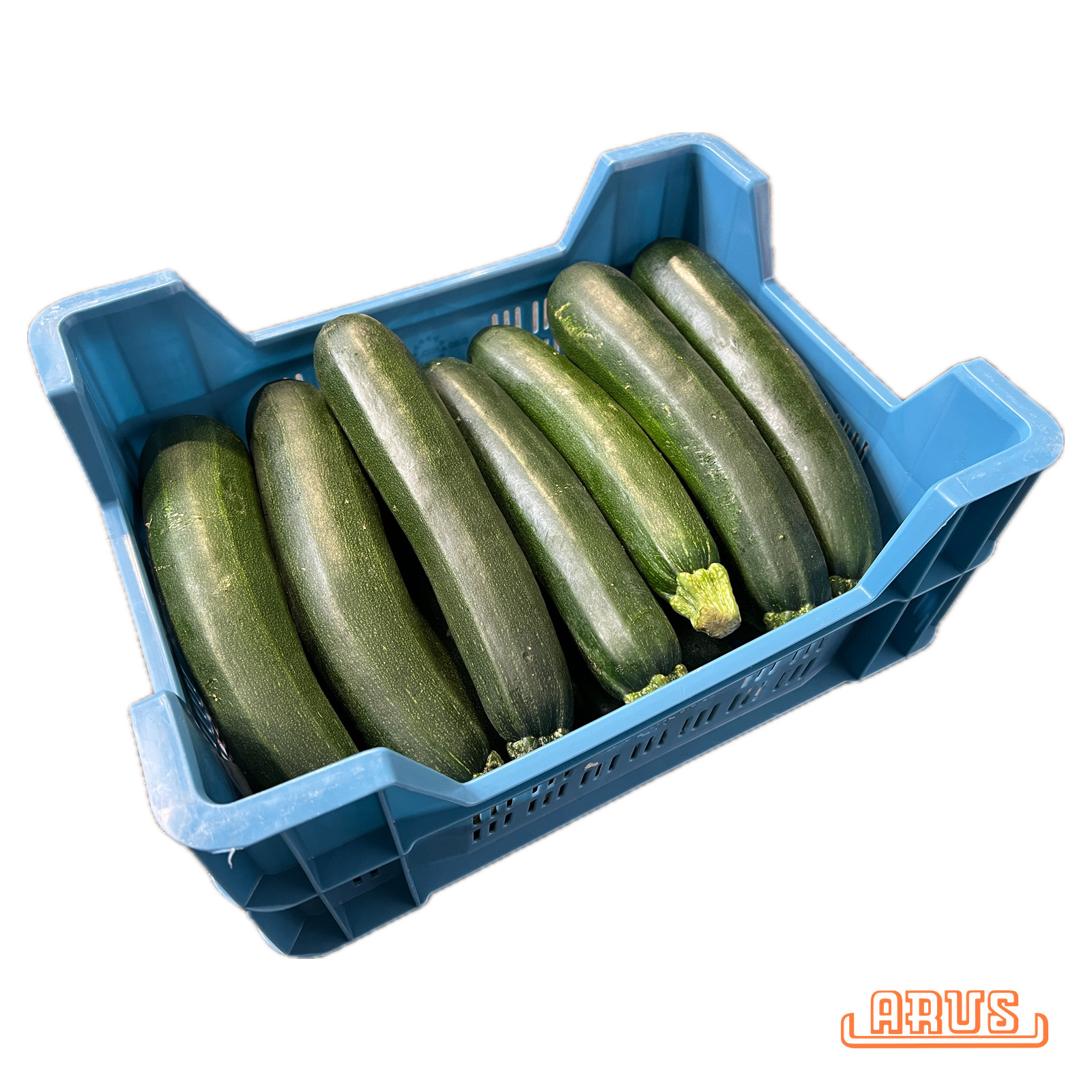 Zucchini 14 Stück/5kg - belg. -
