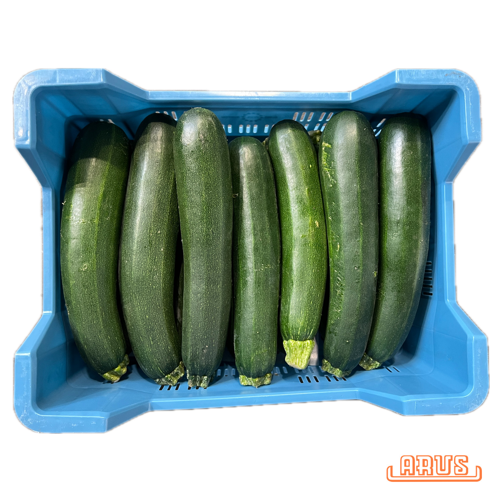 Zucchini 14 Stück/5kg - belg. -