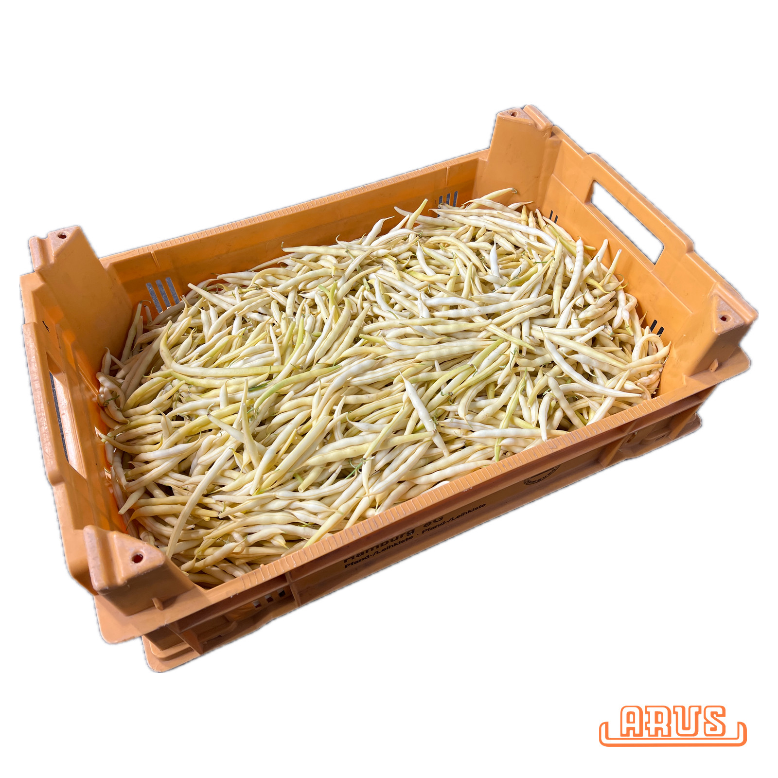 Wachsbohnen "gelb" 5kg - dtsch. -