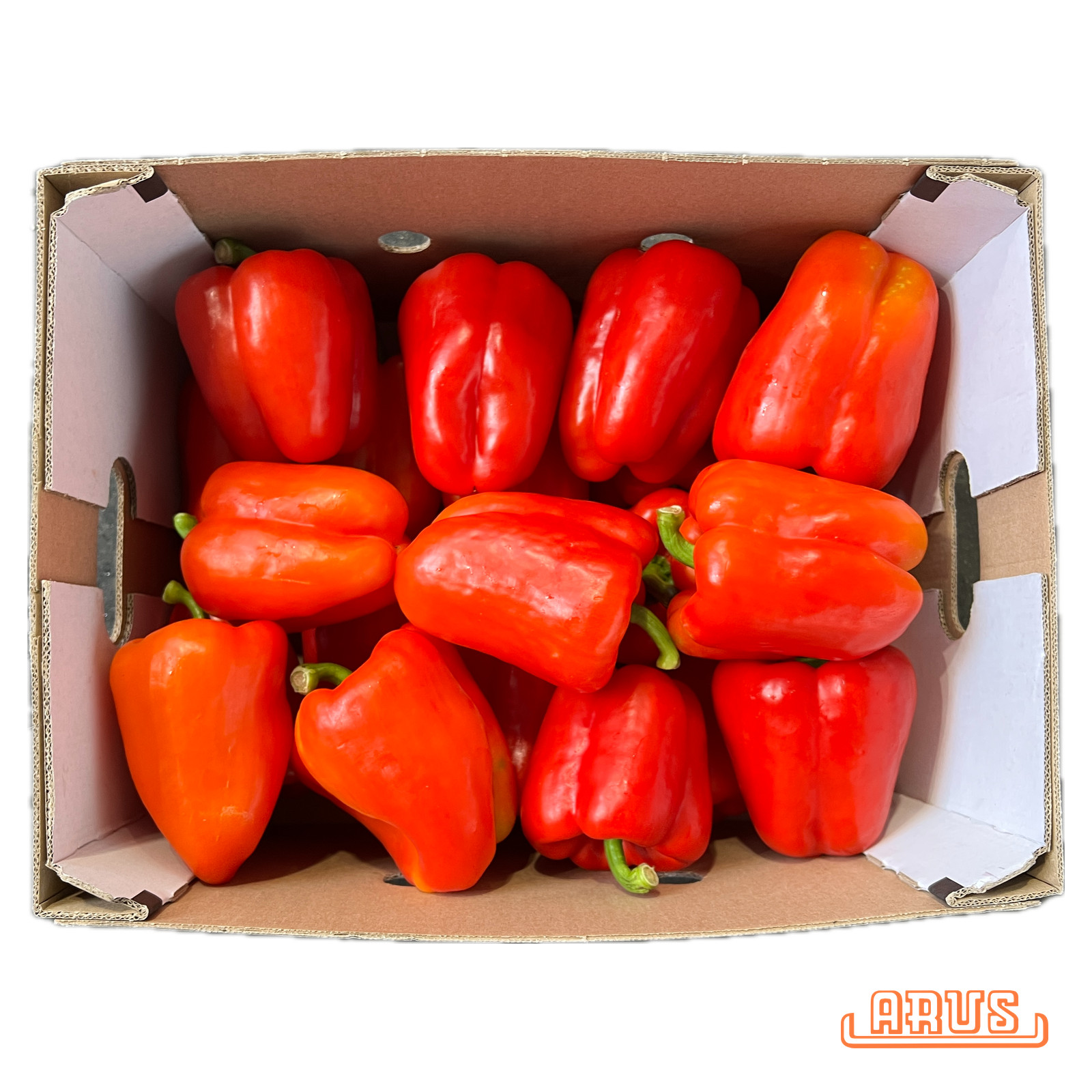 Paprika "rot" 20 Stück/5kg - niederl. -