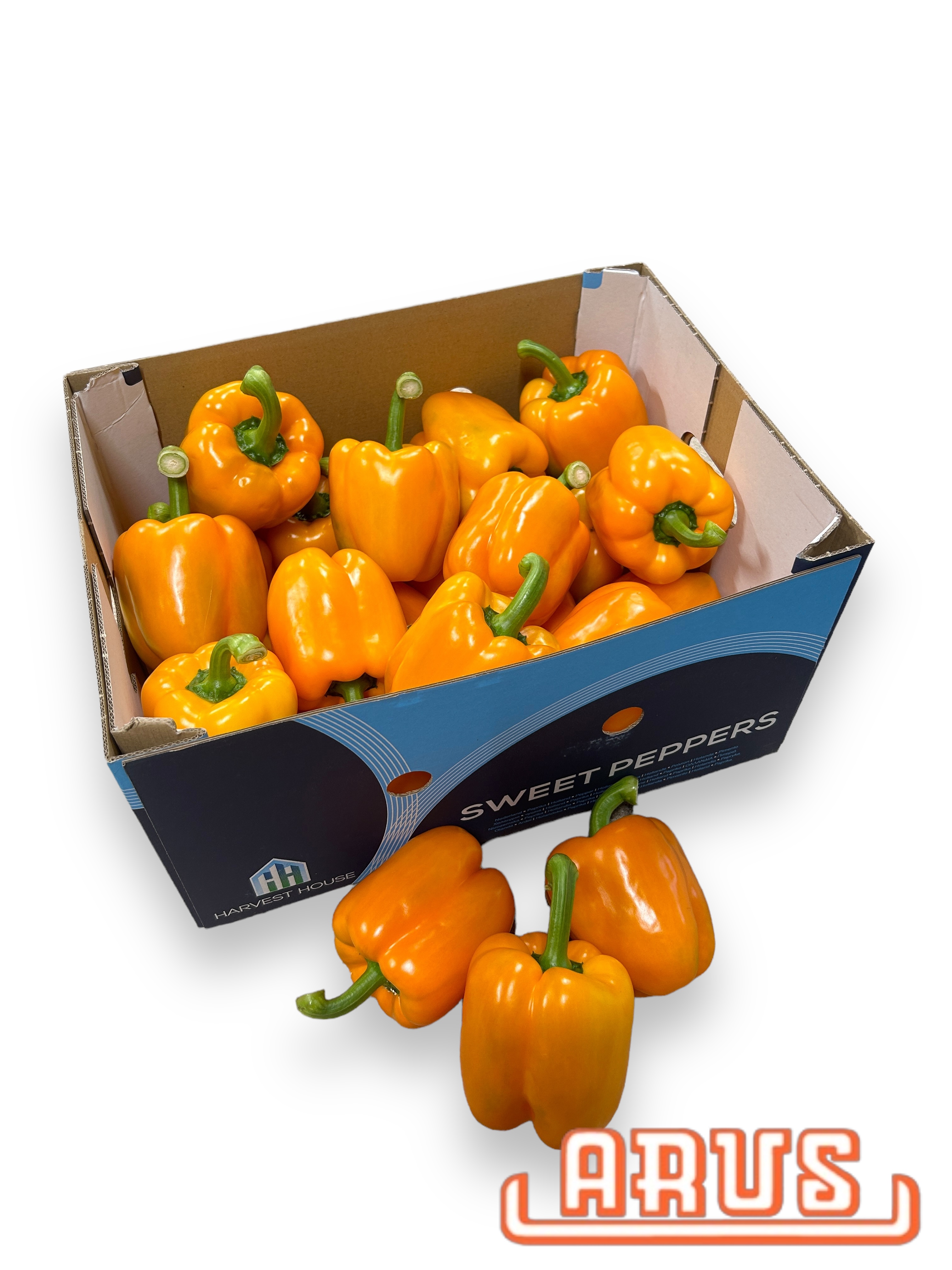 Paprika "orange" 5kg - niederl. -