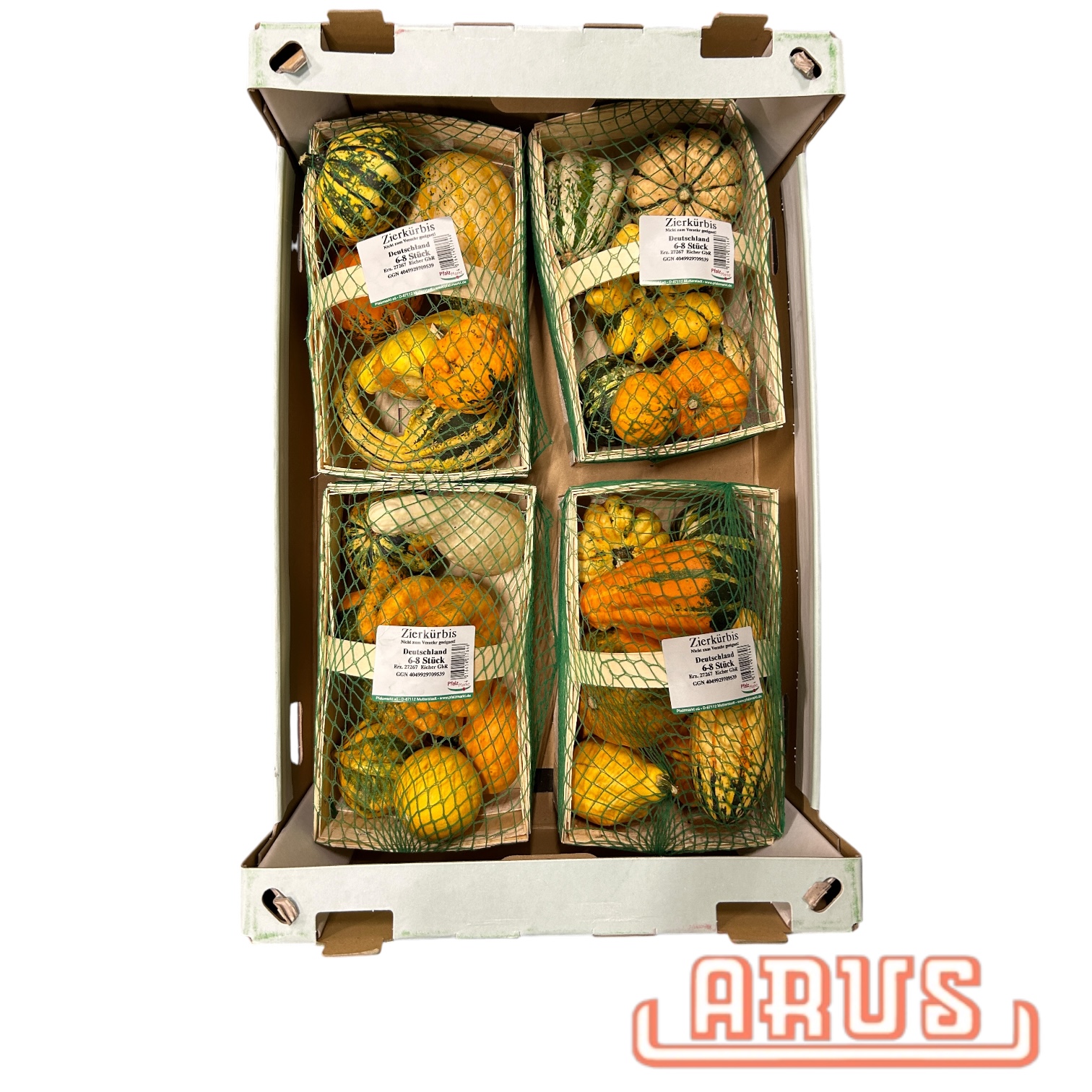 Zierkürbis 4 x 1kg