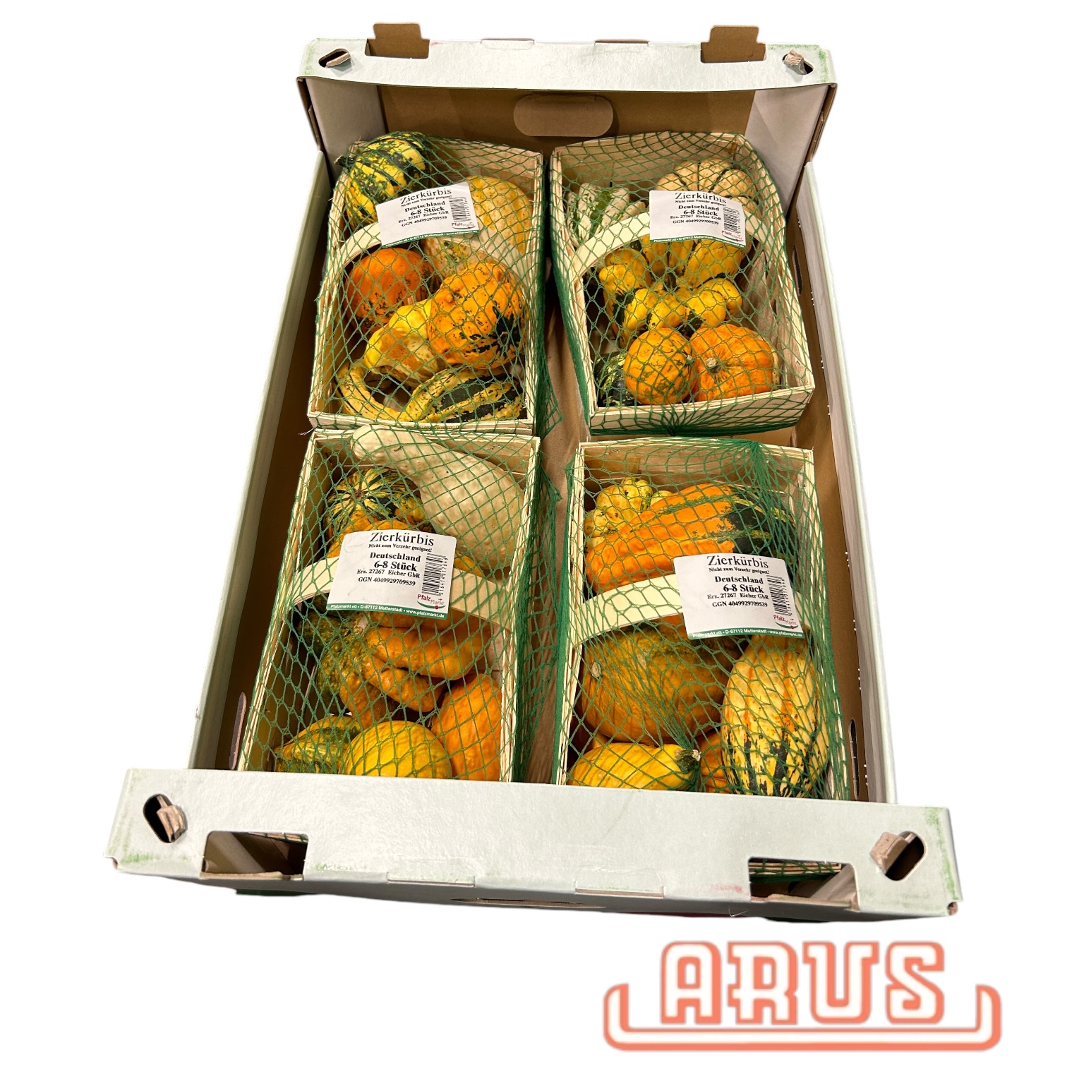 Zierkürbis 4 x 1kg