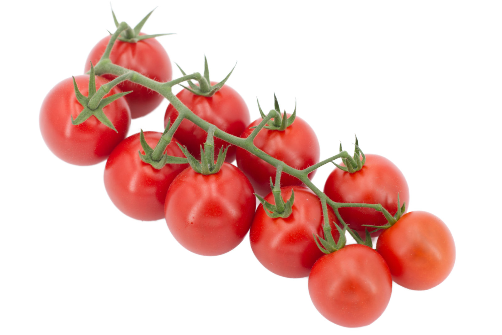 Cherrystraucht. "Tomato4you" 3kg - niederl. -