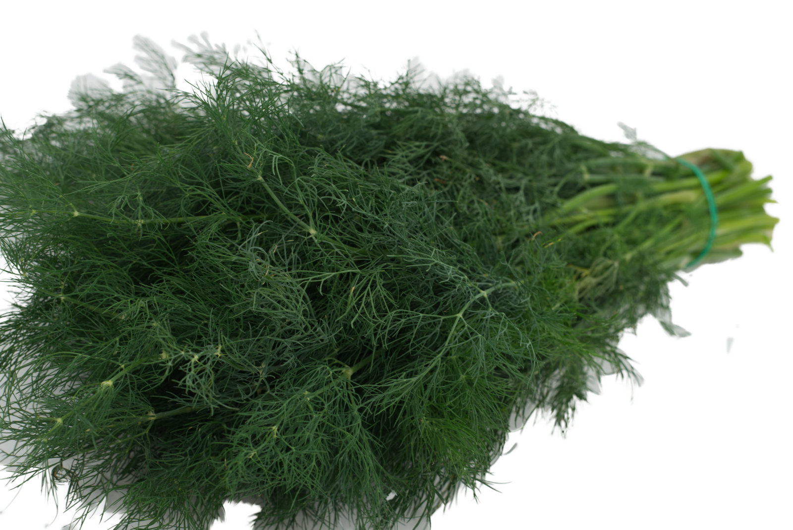 Dill "große Handbunde" 5er