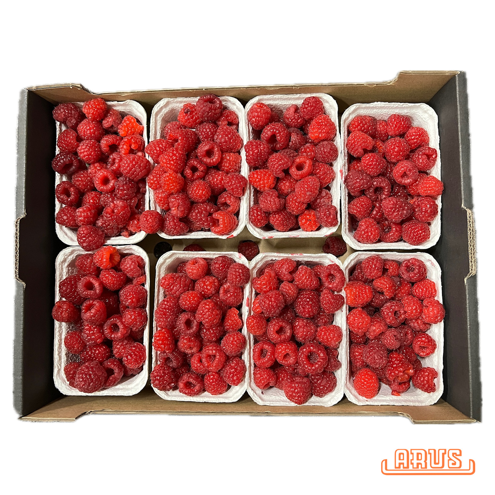 Himbeeren 8 x 250g -poln.-