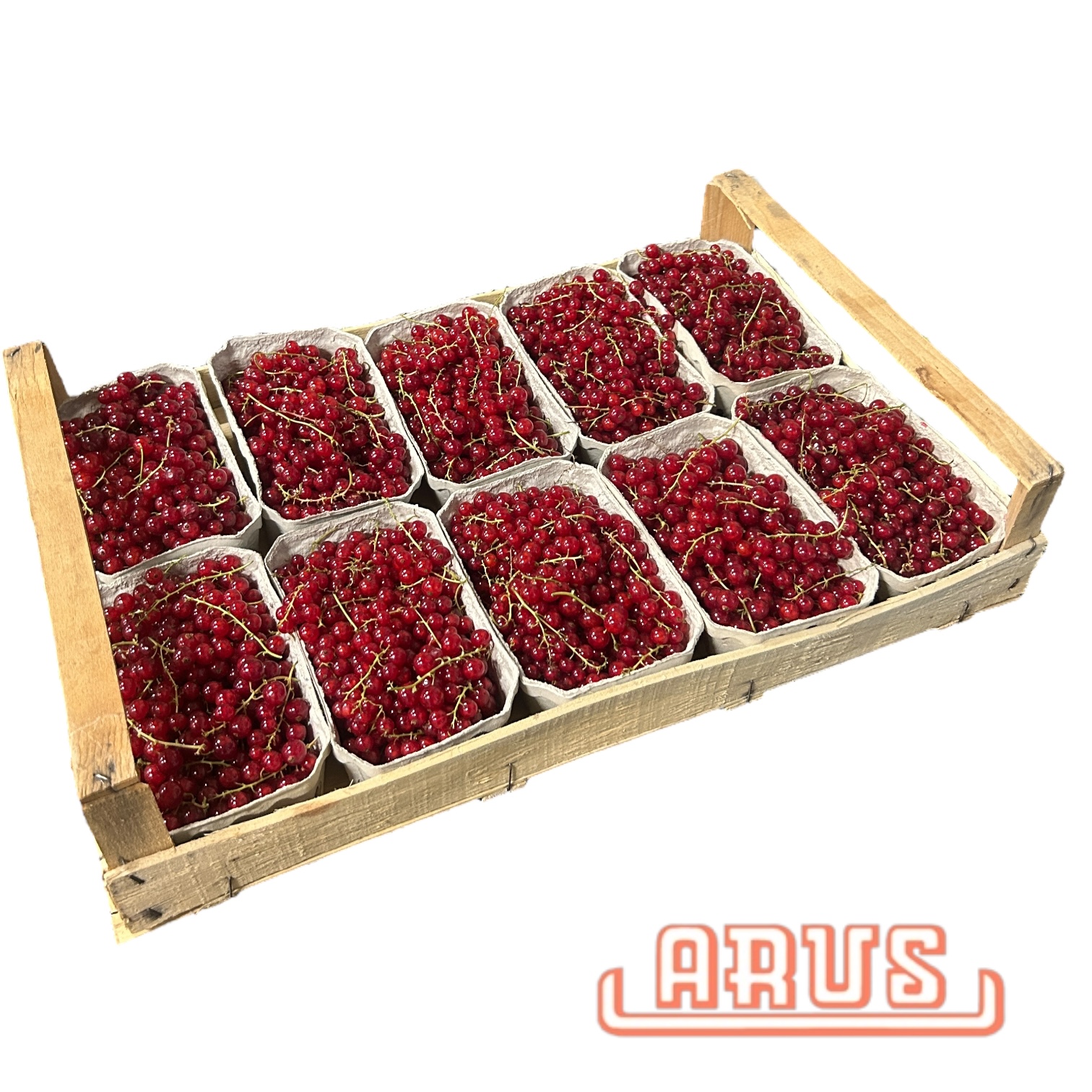 Johannisbeeren rot 10x500g -dtsch.-
