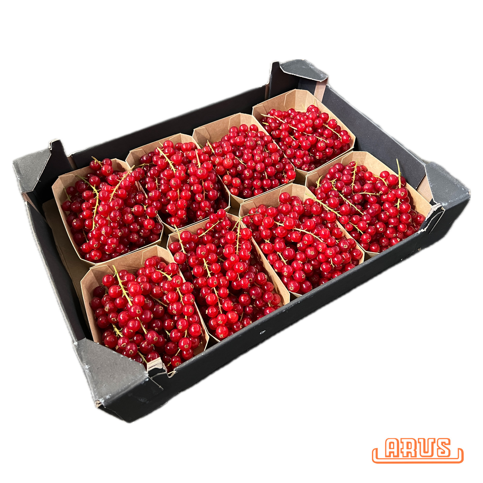 Johannisbeeren rot 8x200g -niederl.-