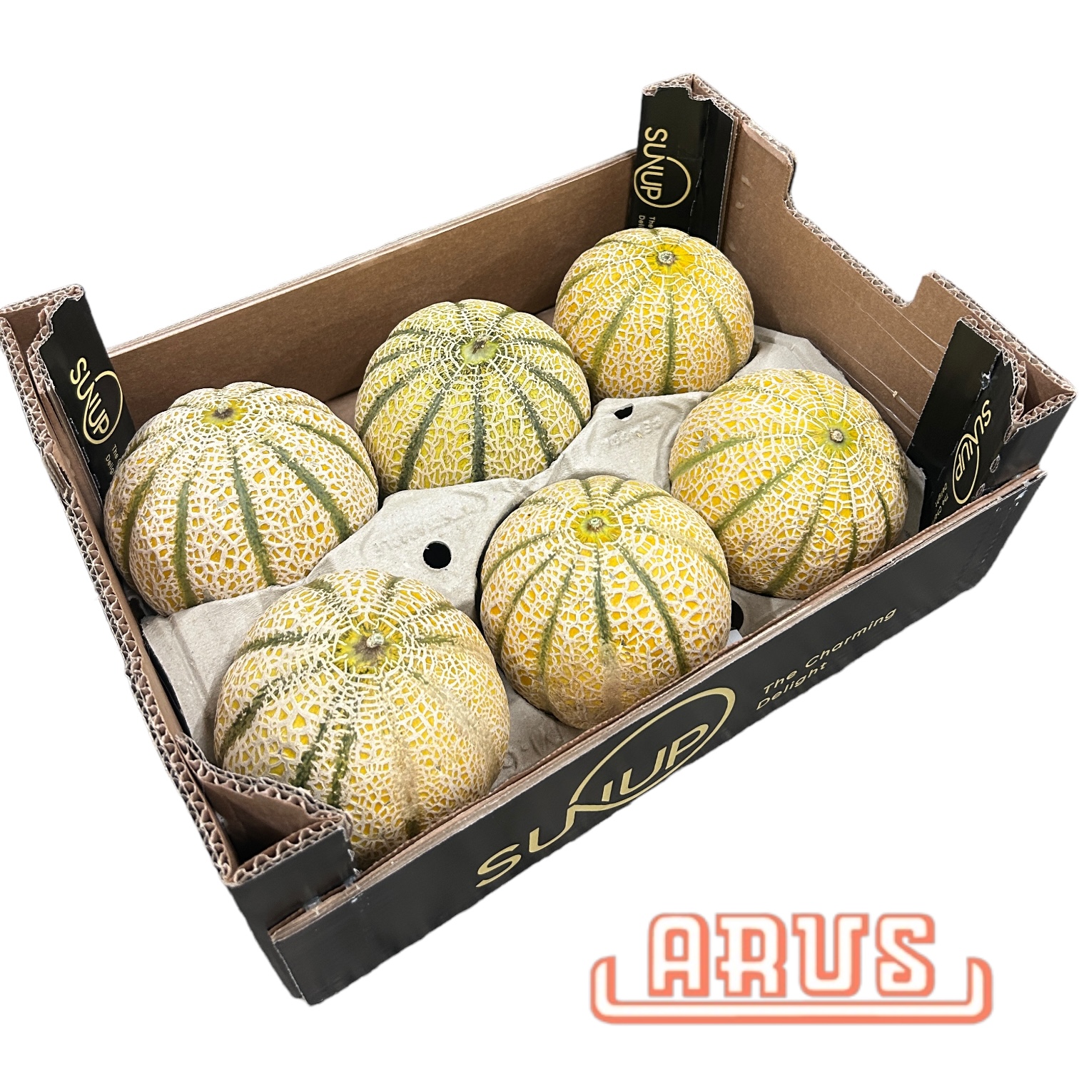 Cantaloupe Melonen 6er -senegal.-