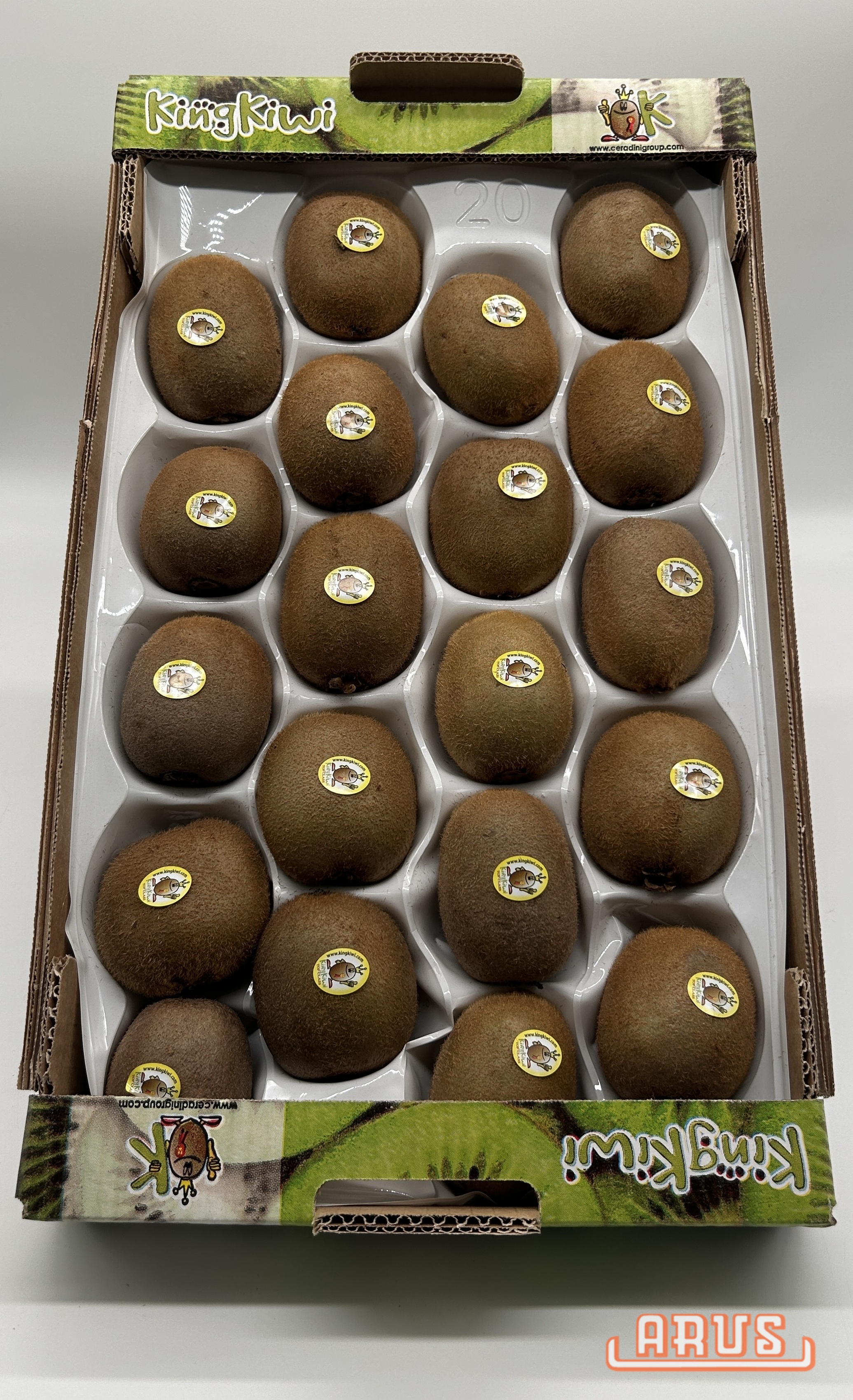 Kiwi "Hayward" 20er - Jumbo -