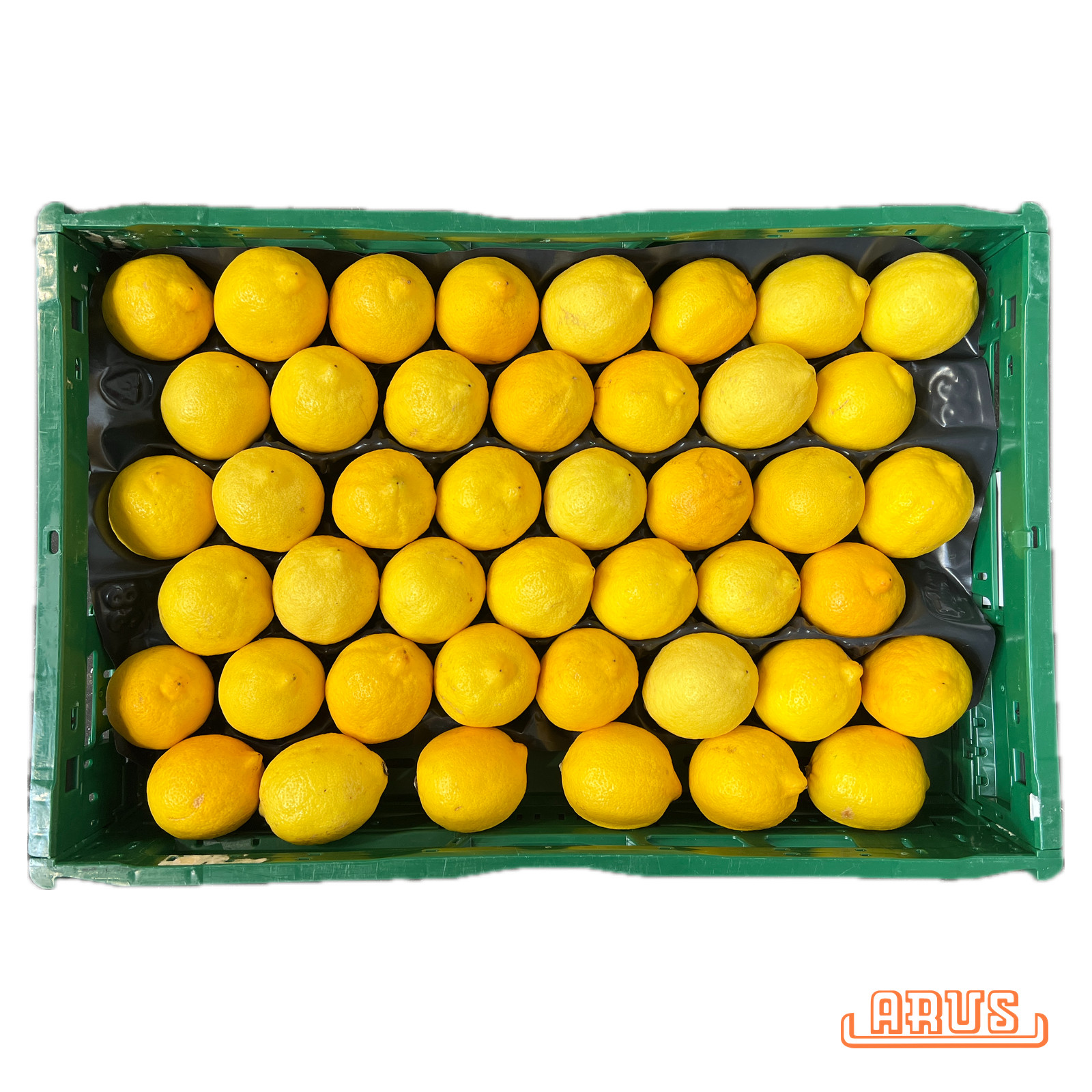 Zitronen "Primofiori, gelegt" 39er 7,5kg