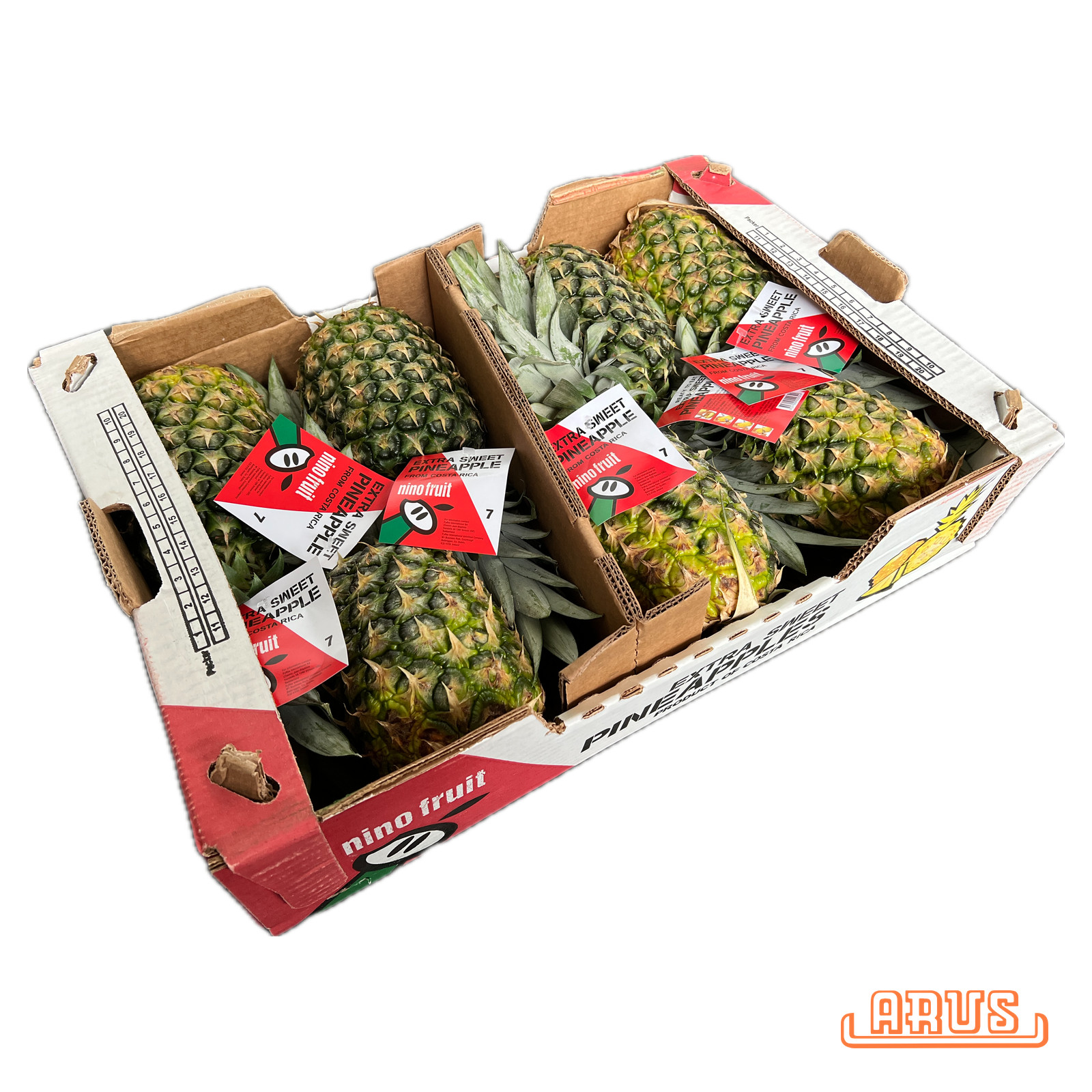 Sweet-Ananas "Nino" 7er