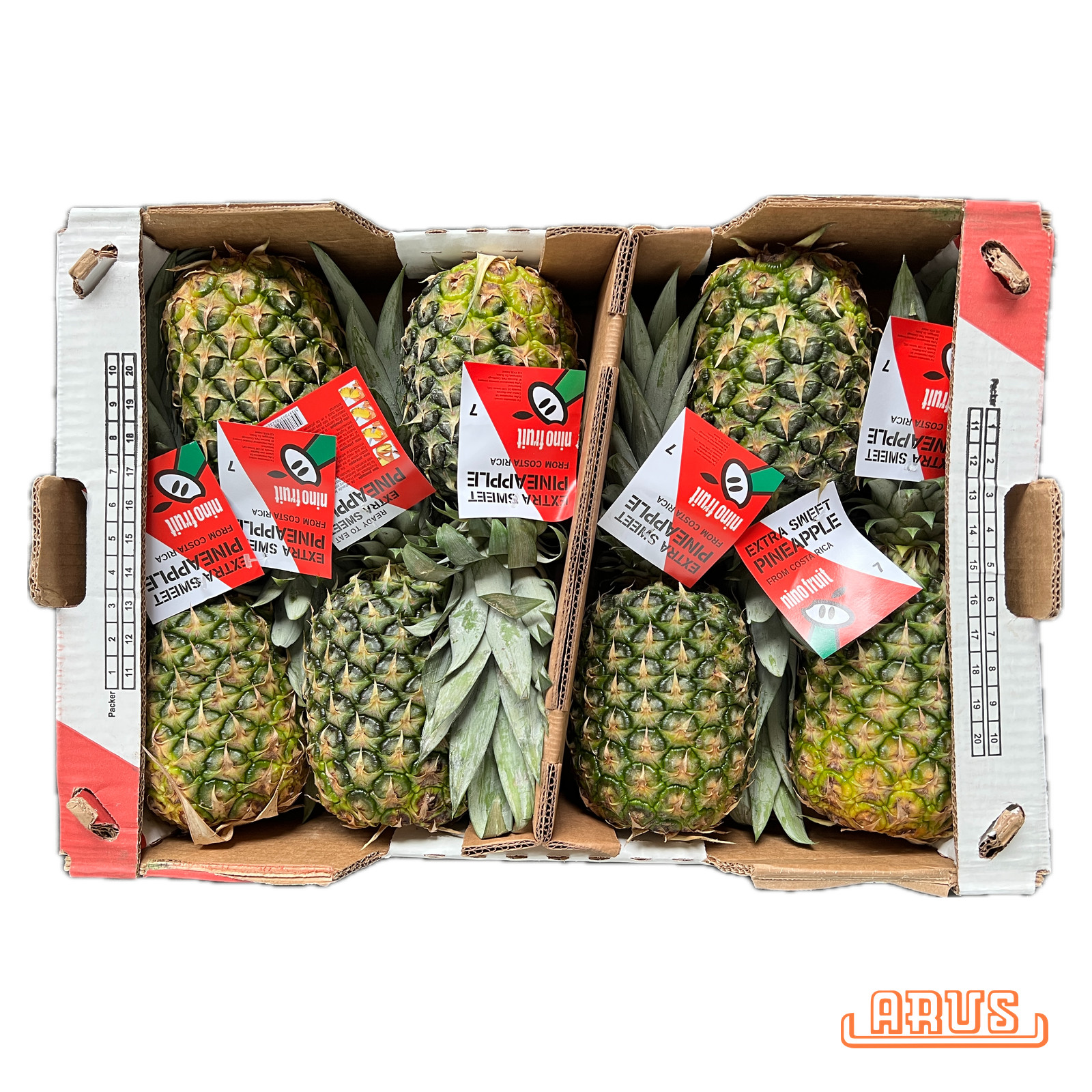 Sweet-Ananas "Nino" 7er