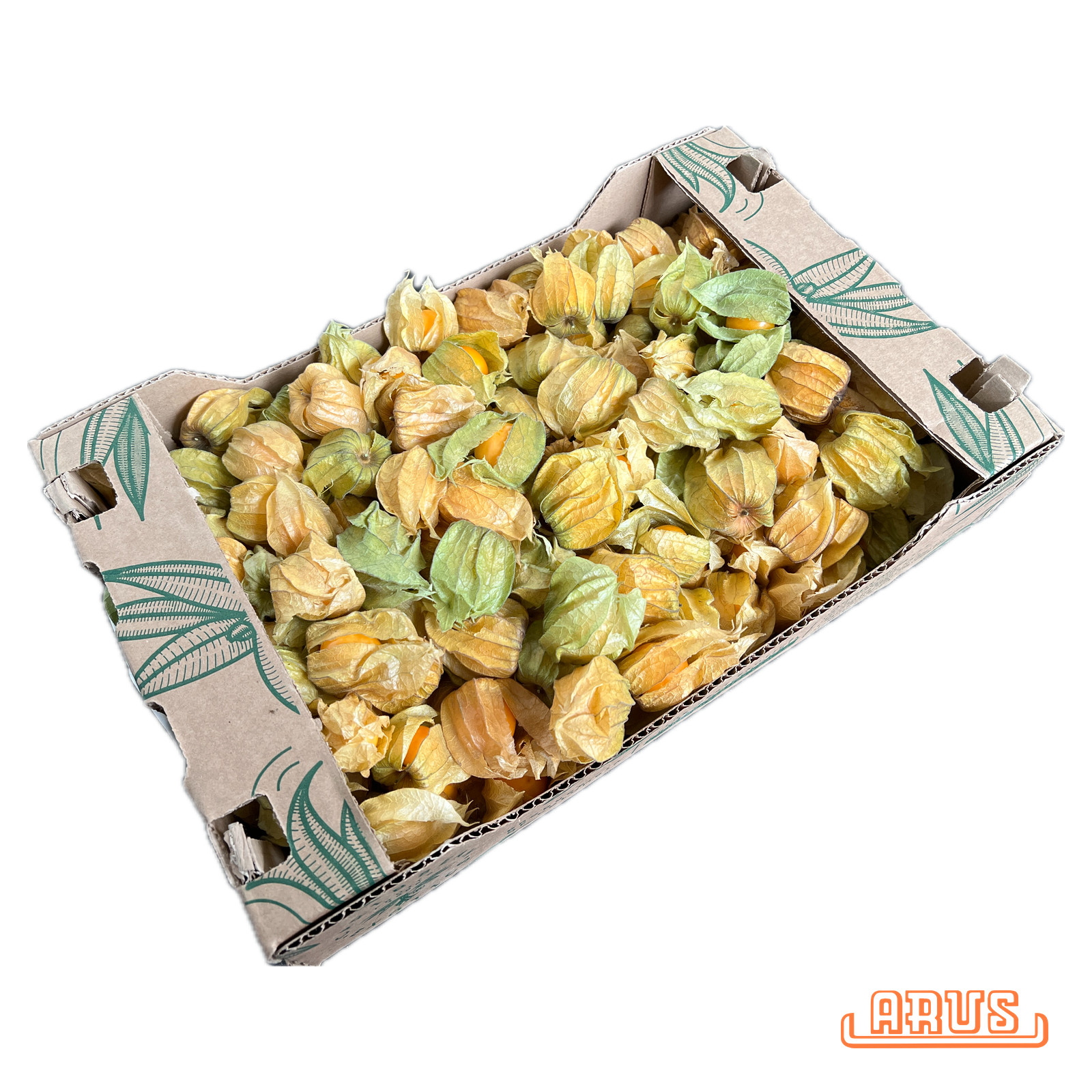 Physalis 1,0kg - lose -