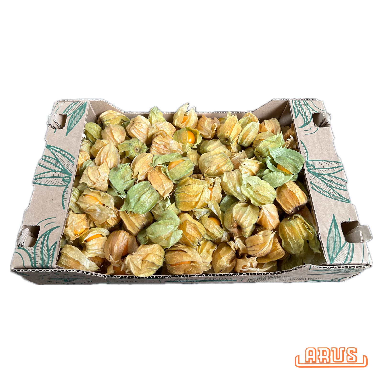 Physalis 1,0kg - lose -