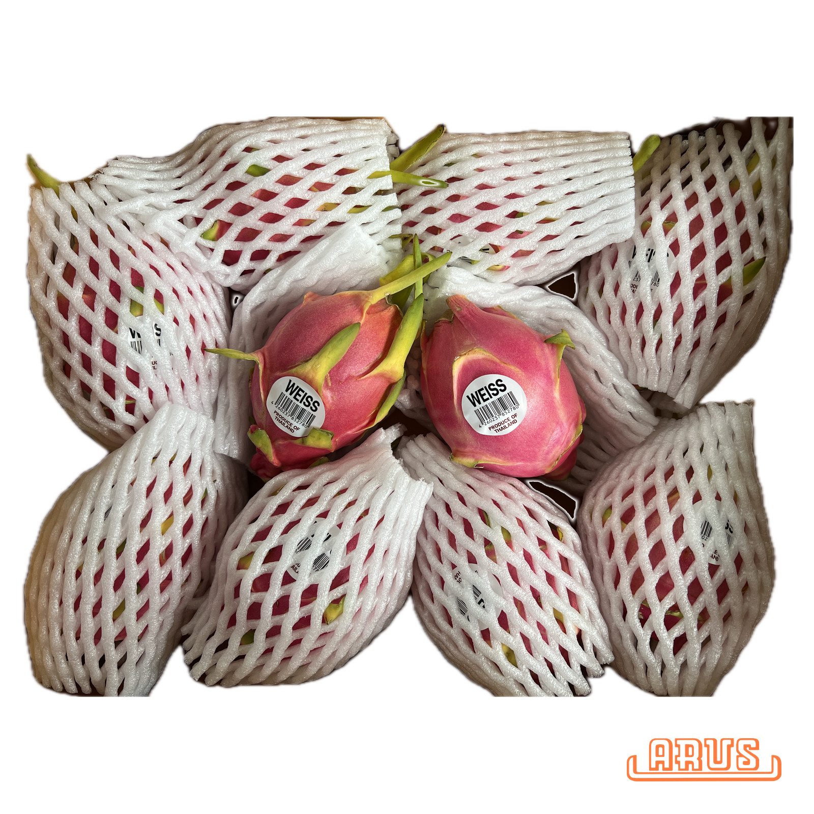 Pitahaya "Drachenfrucht, rot/weiss" - STÜCK -