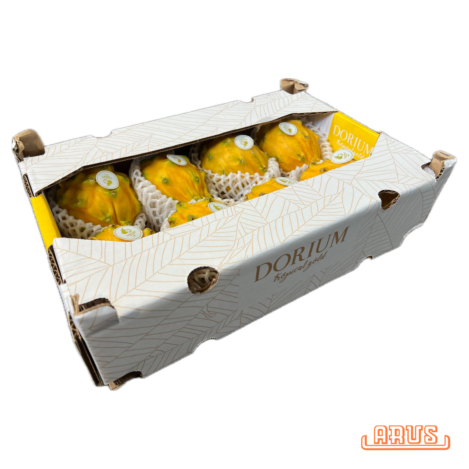 Pitahaya "Drachenfrucht, gelb" 10er