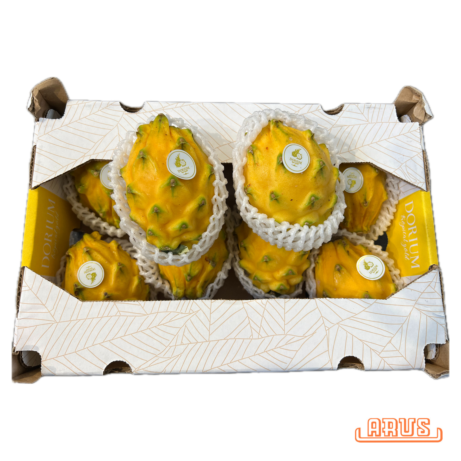 Pitahaya "Drachenfrucht, gelb" 10er