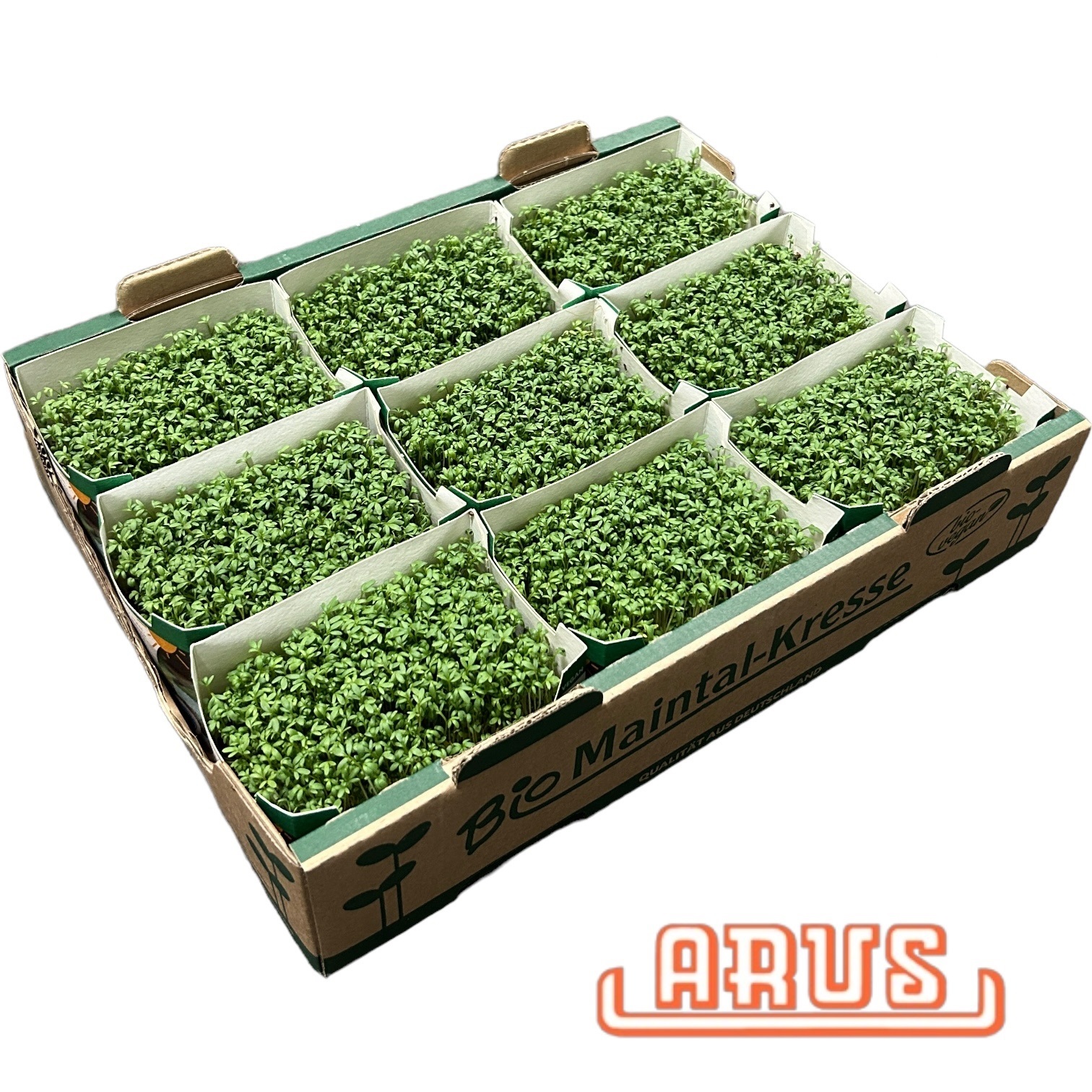 Bio Kresse Schalen 9er