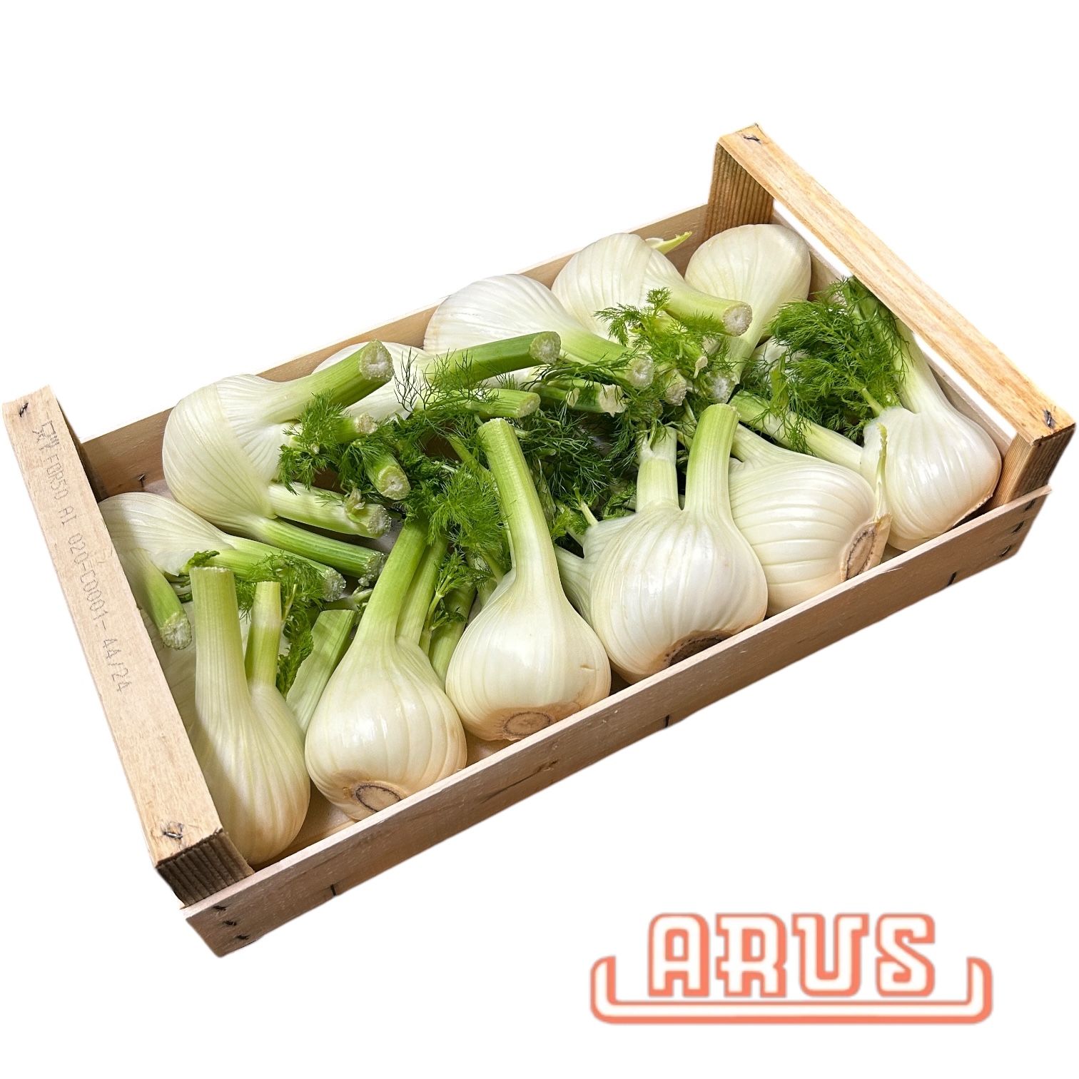Fenchel 5kg - ital. -