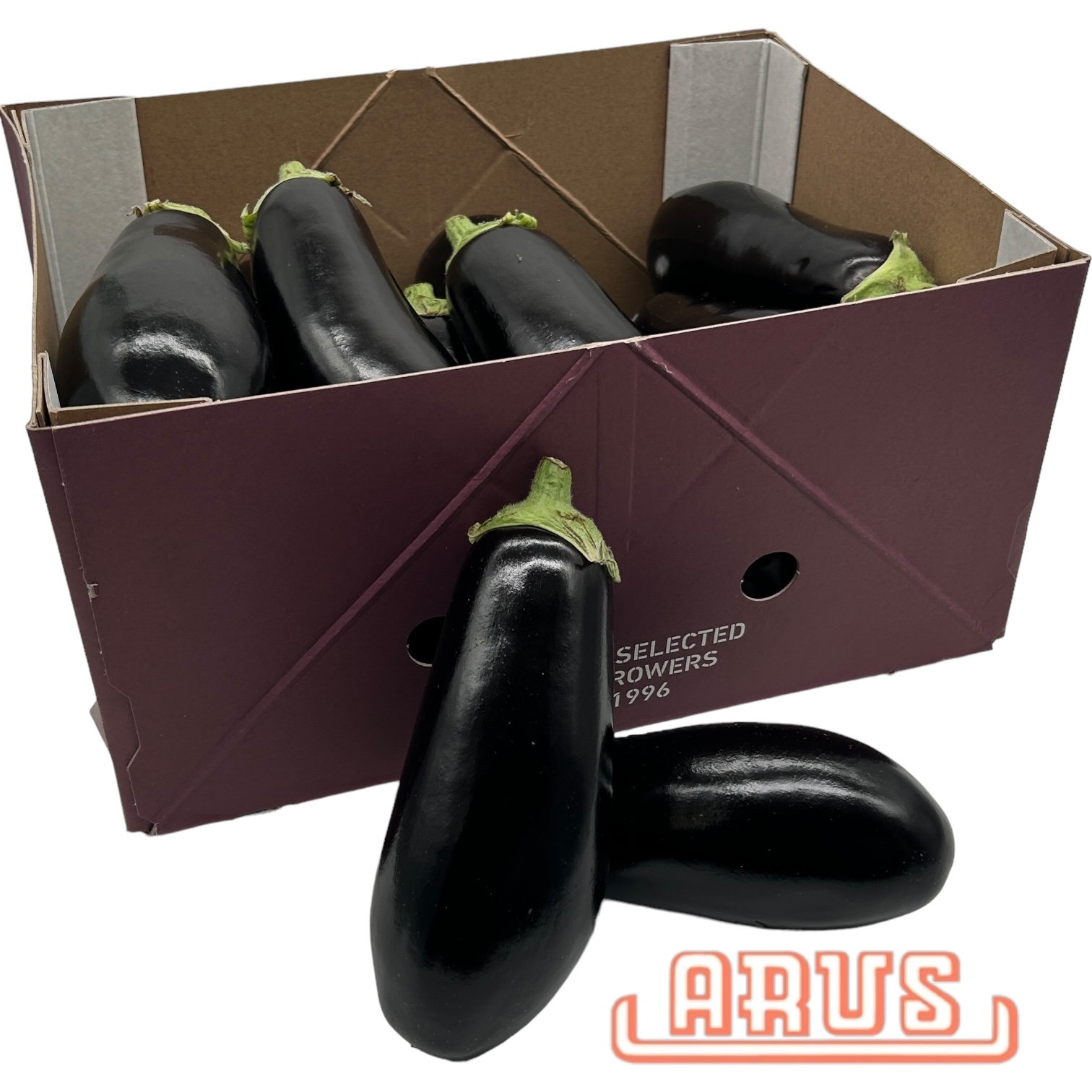 Auberginen 5kg - niederl. -