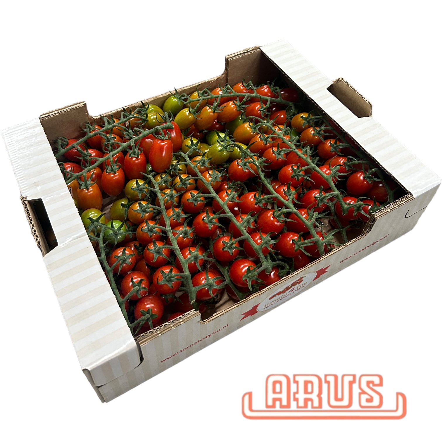 Flaschencherry "Mini Tröpfchen, Tomato4you" 3kg