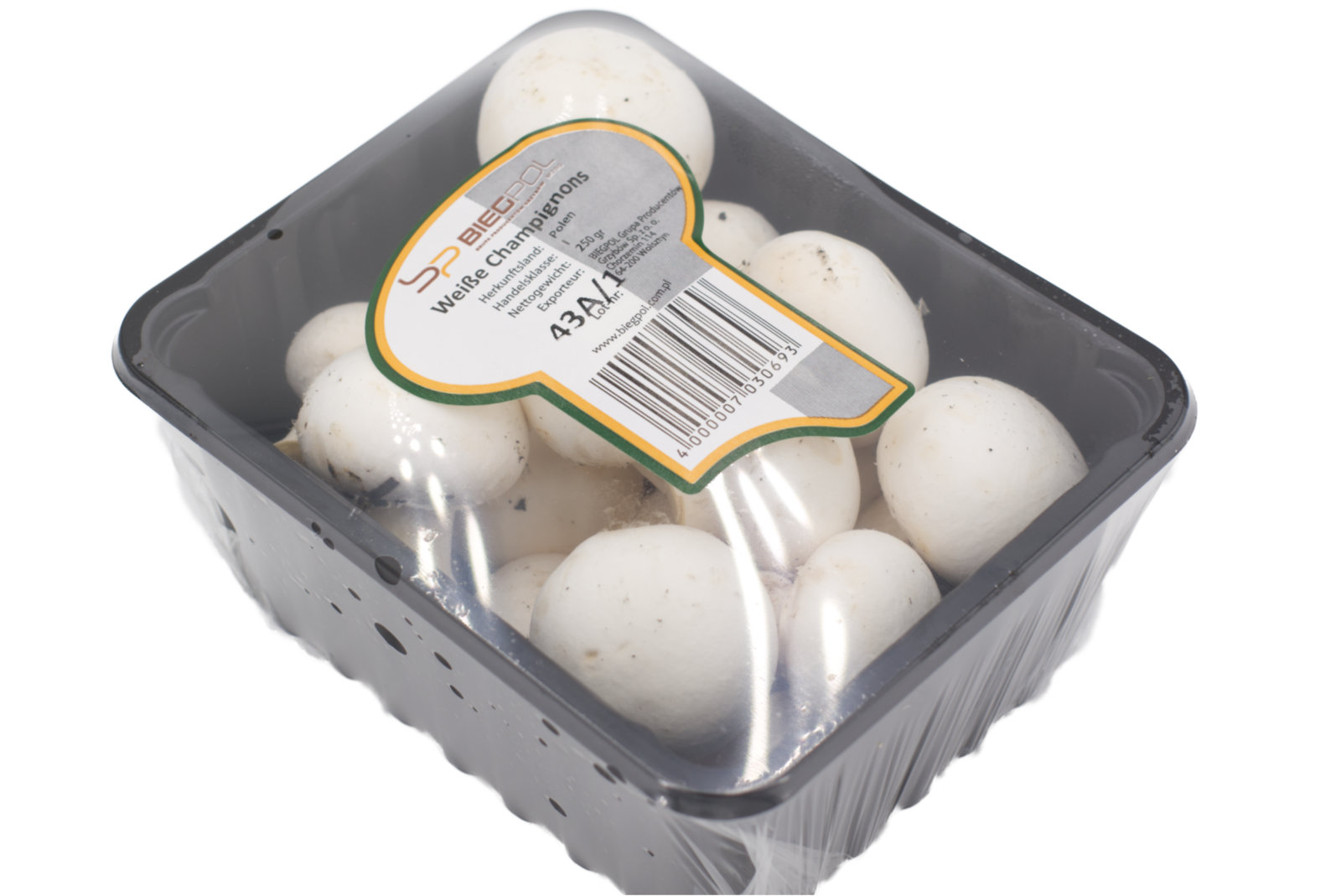 Champignon "weiss/gepackt" 12 x 250g