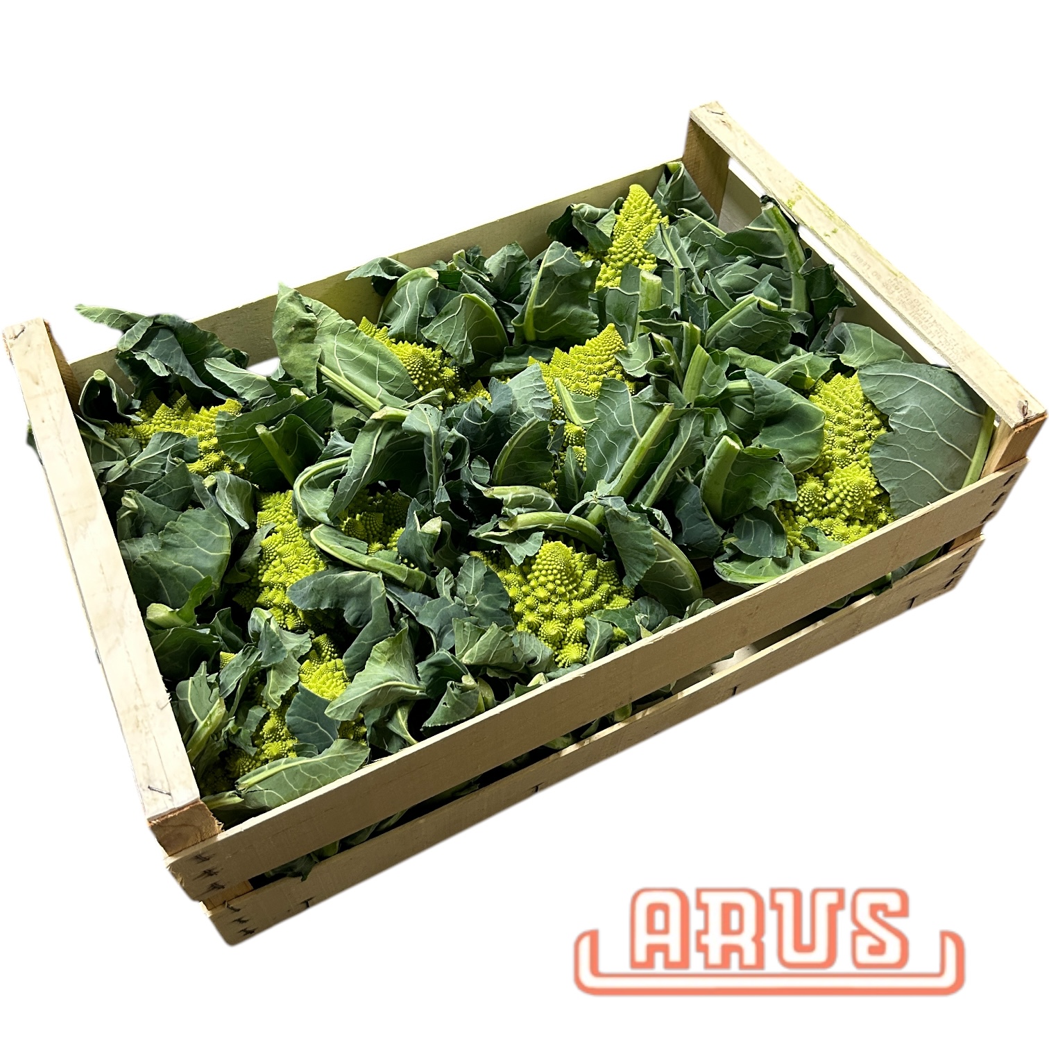 Romanesco 8er -Anny-