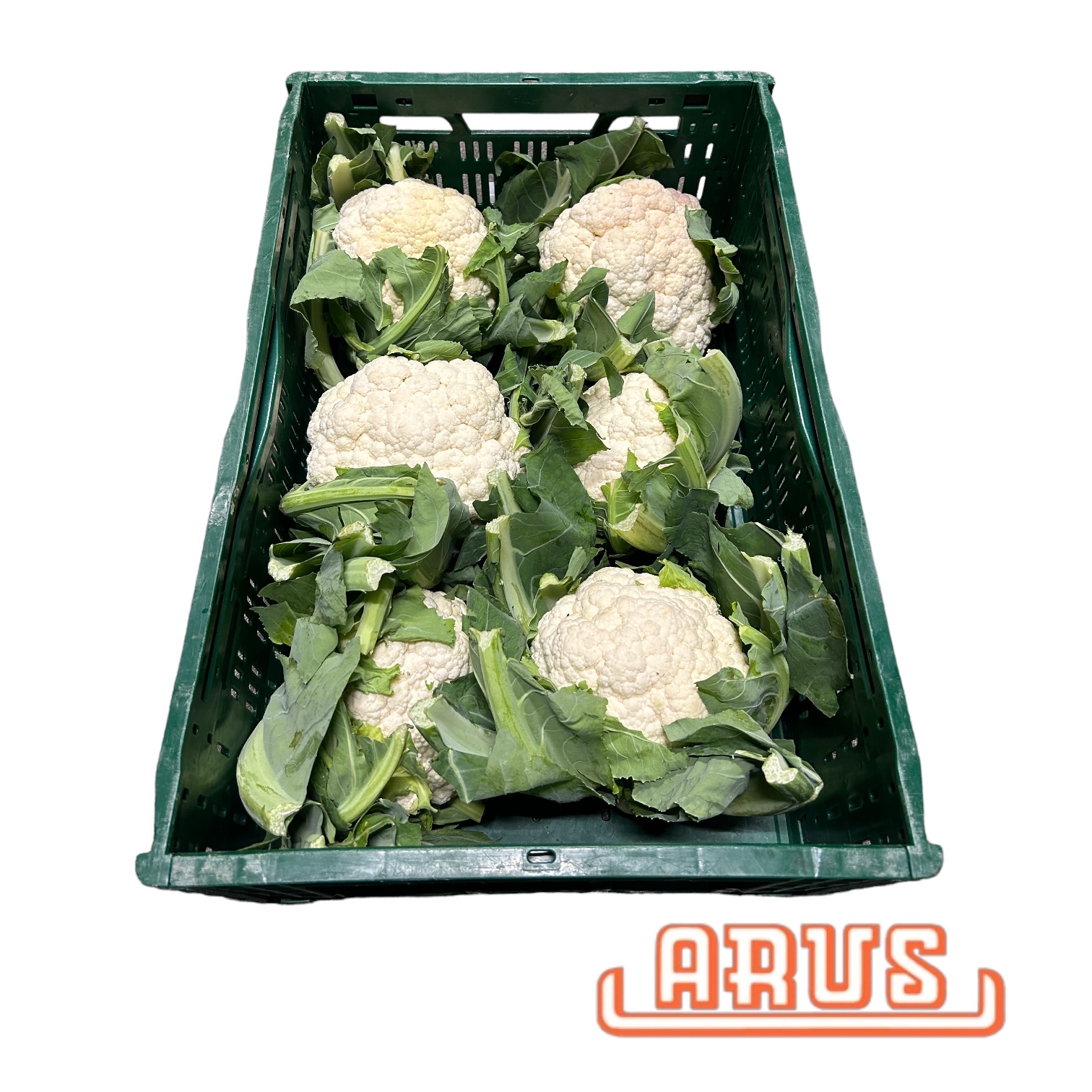 Blumenkohl 6er - poln. -