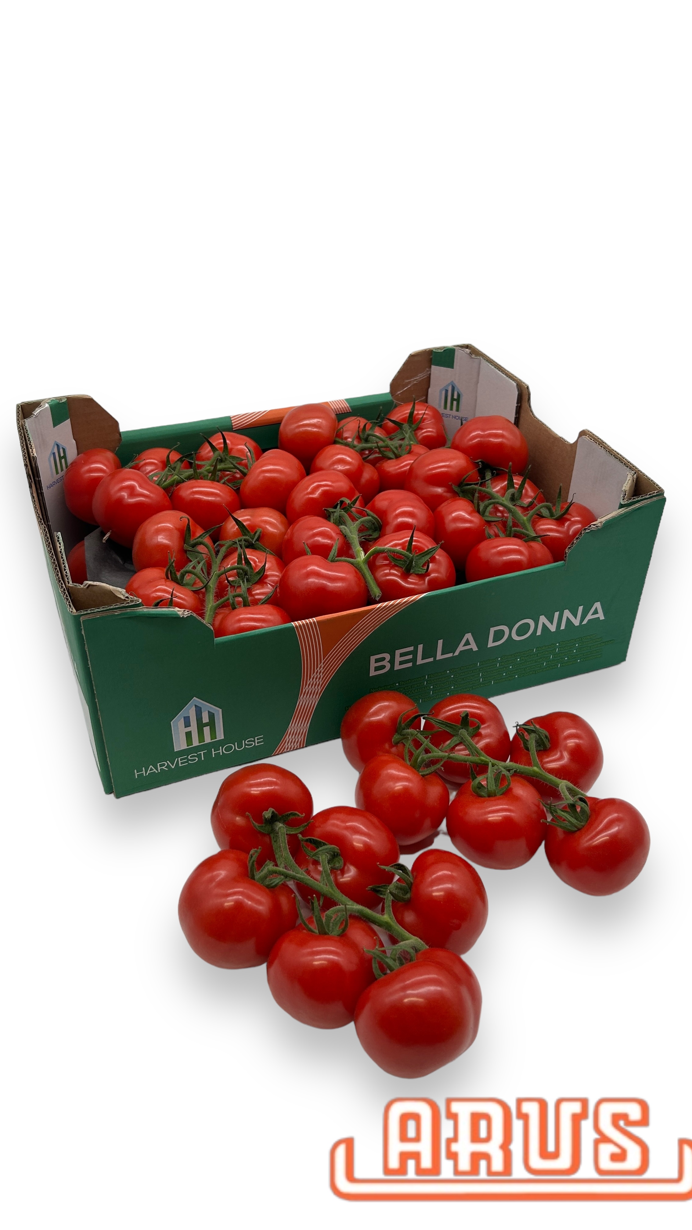 Strauchtomaten "Bella Donna" 5kg