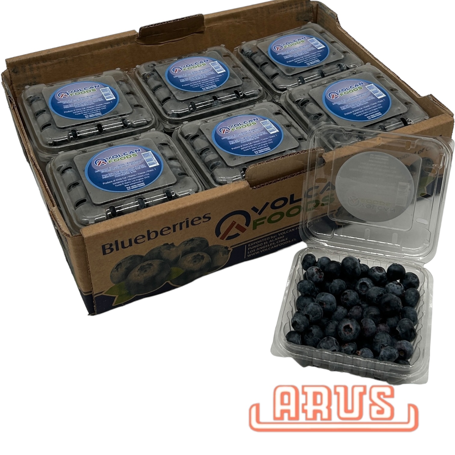 Gartenblaubeeren 12 x 125g -peru.-