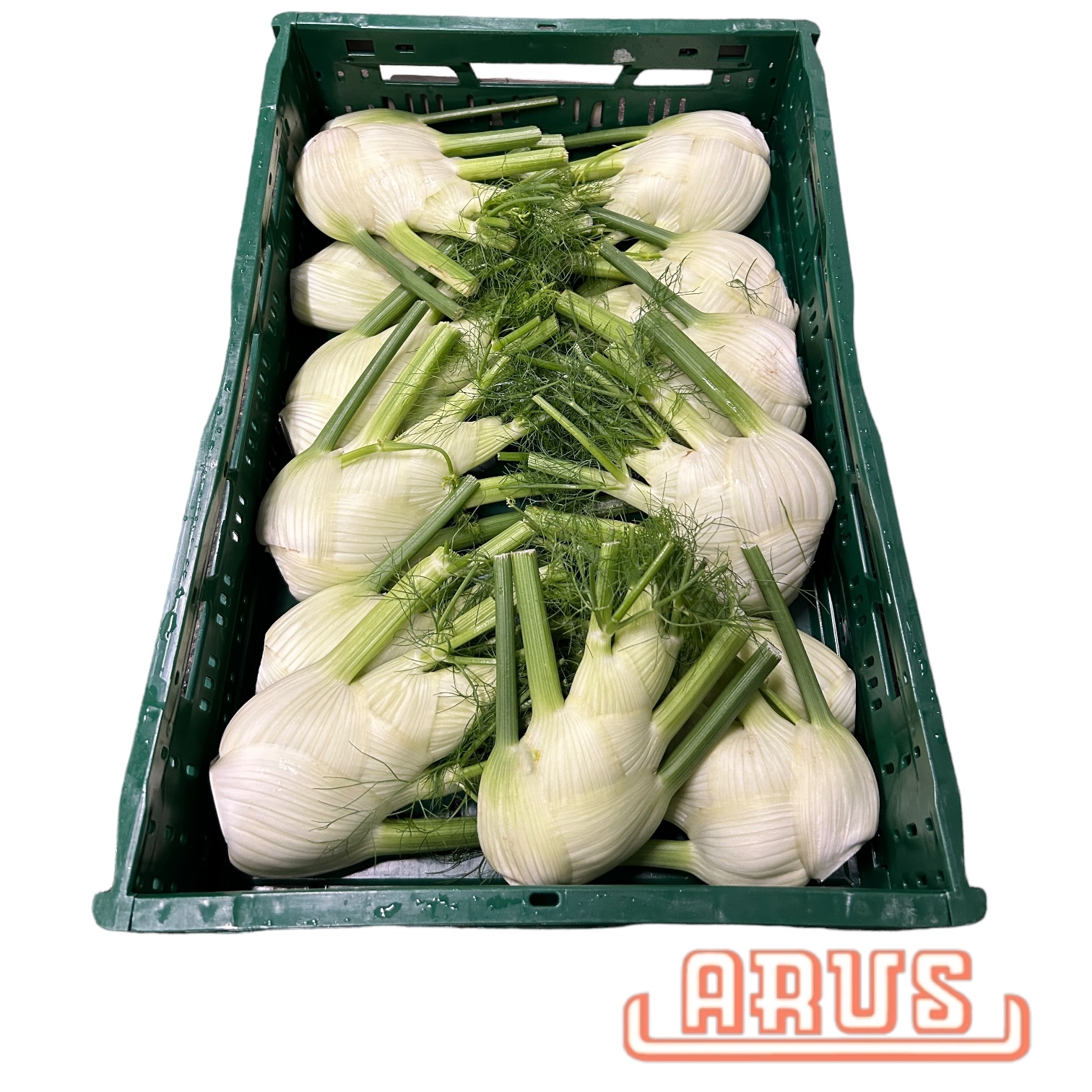 Fenchel 5kg - dtsch. -
