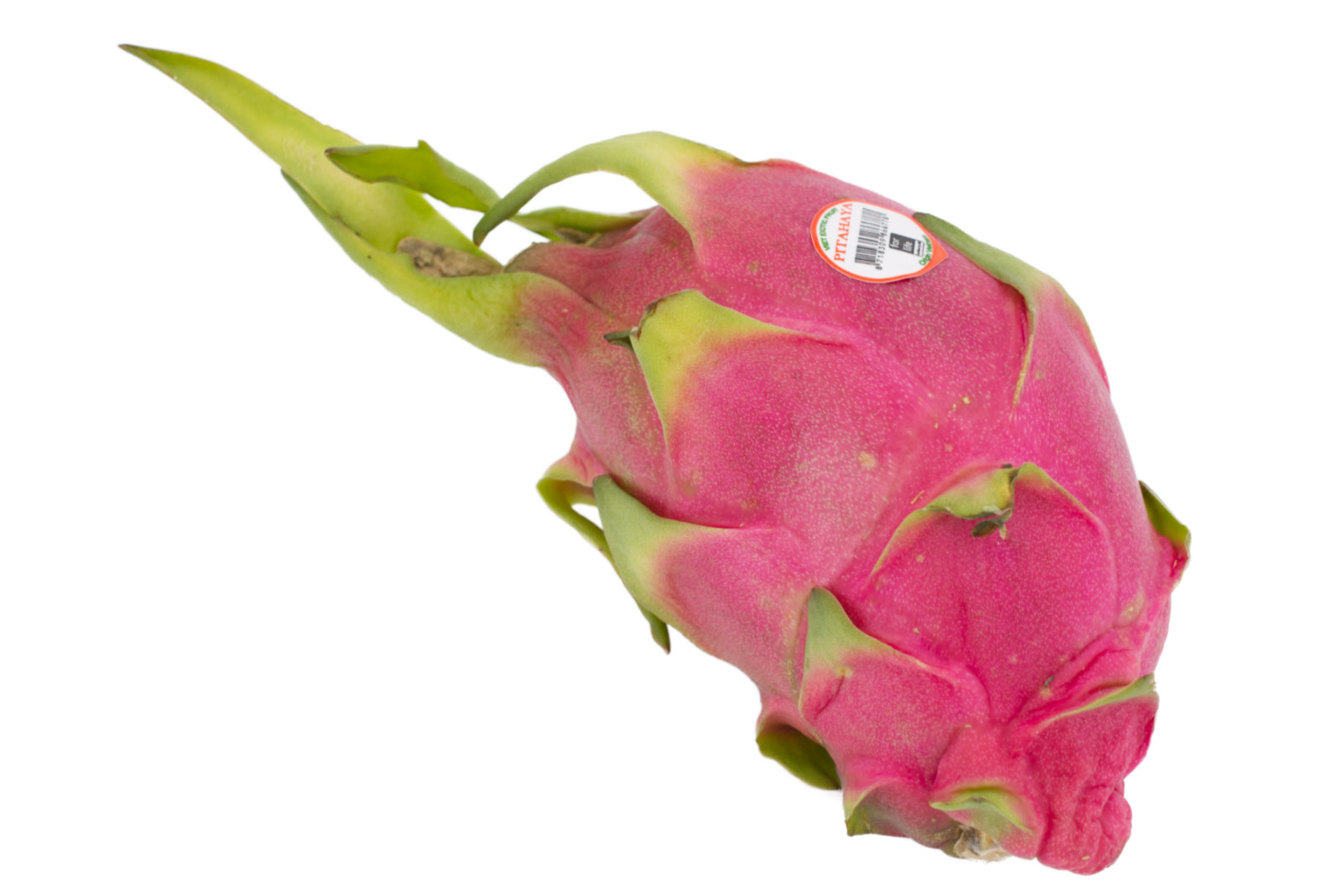 Pitahaya "Drachenfrucht, rot/weiss" - STÜCK -