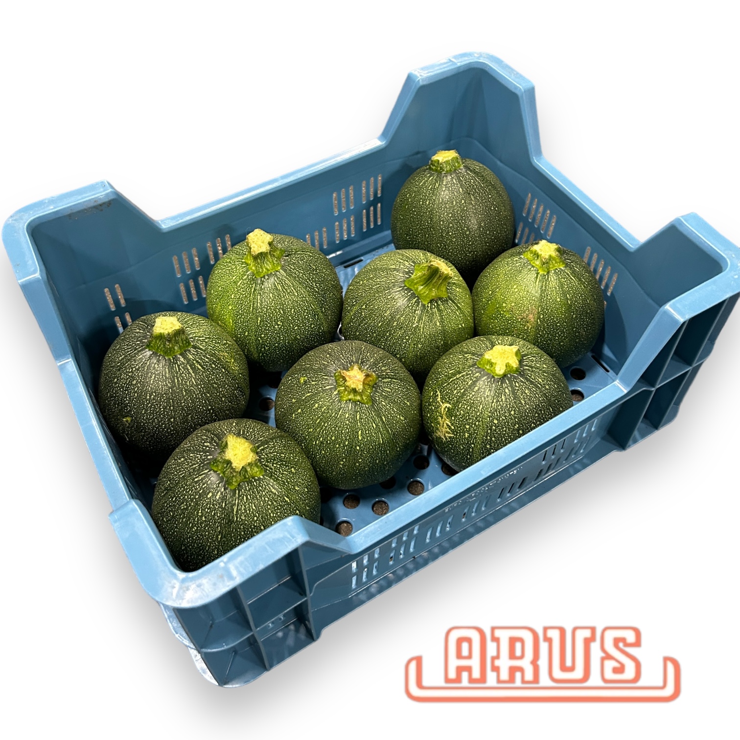 Zucchini "runde, Rondini" 4kg 