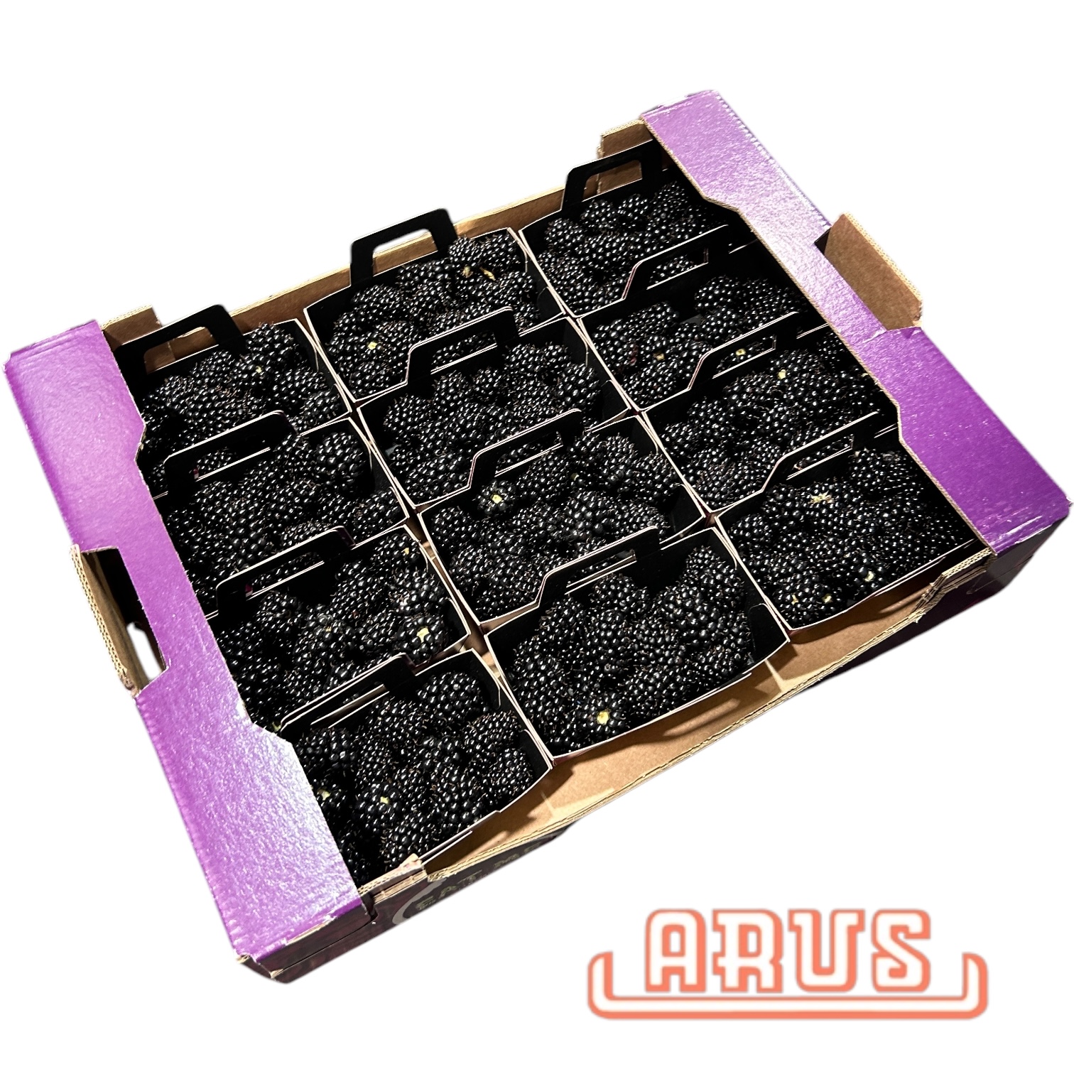 Brombeeren 12x125g -niederl.-