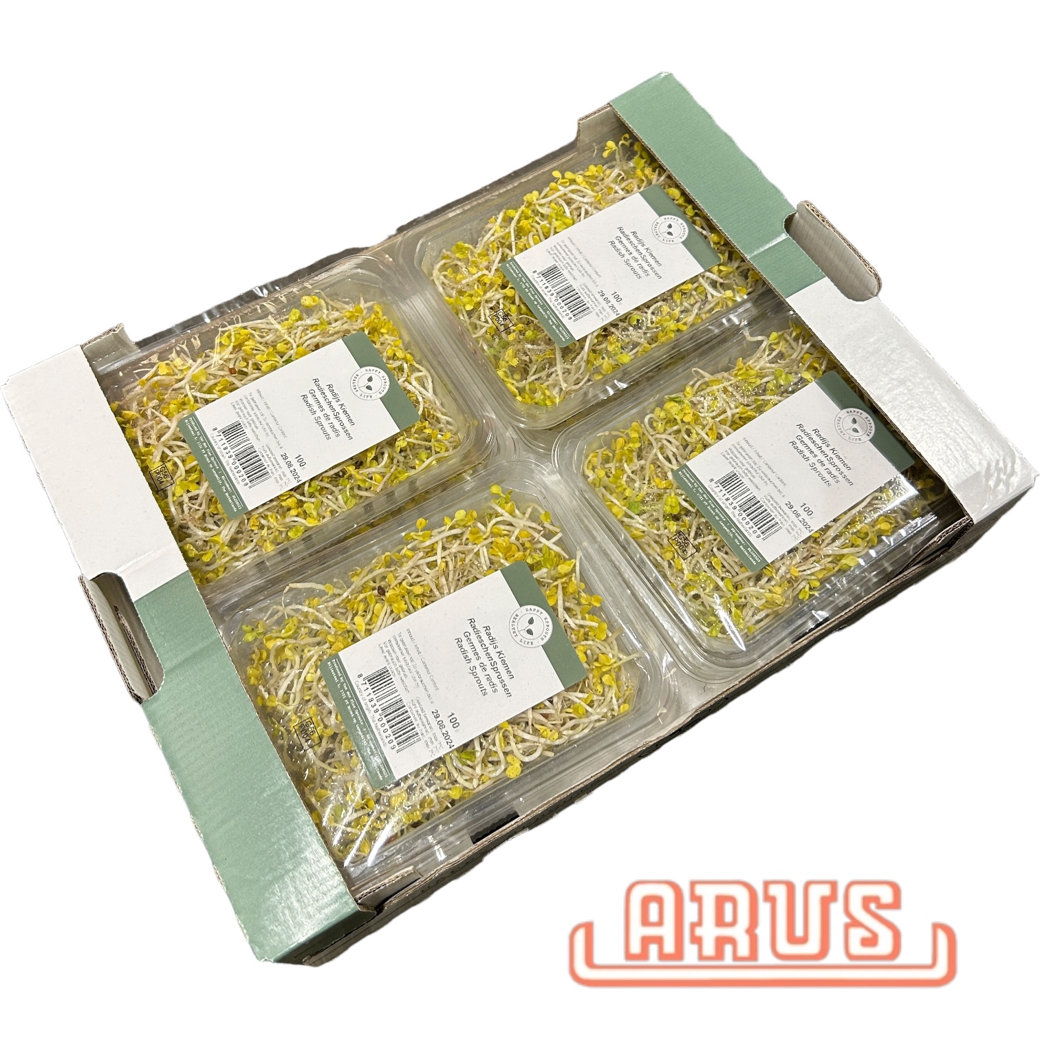 Radieschen Sprossen 100g