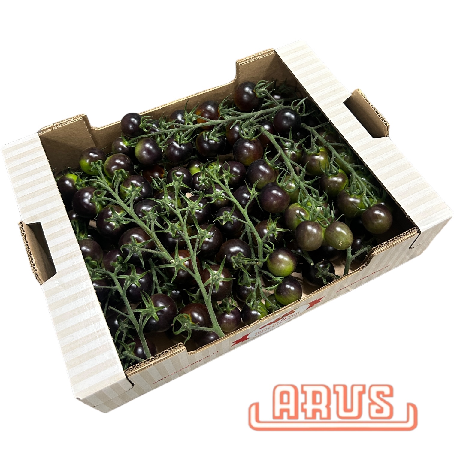 Cherrystraucht. "schwarze Tasty (würzig), Tomato4you)" 3kg
