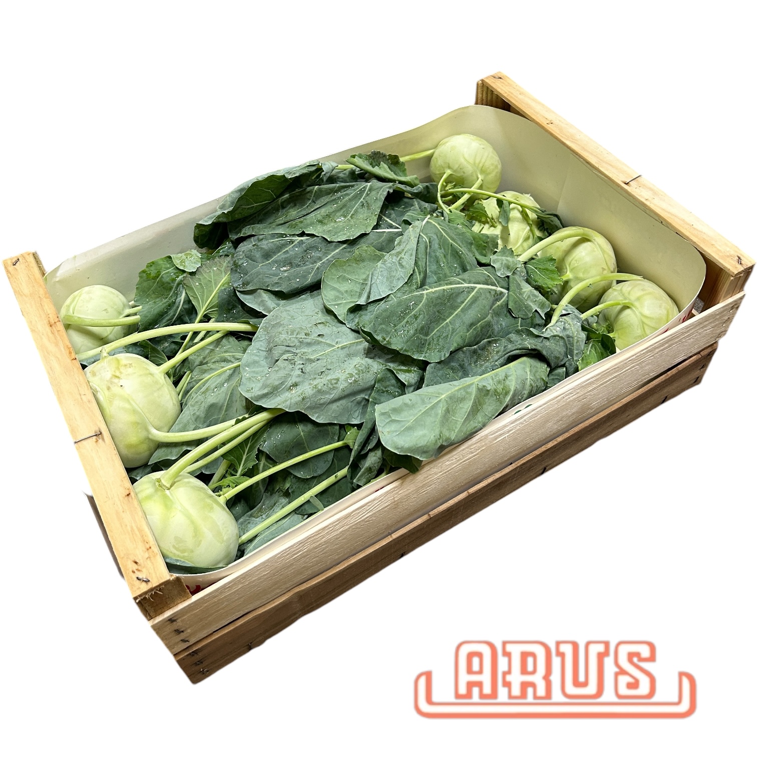 Kohlrabi "TROYLI, Premium Sortierung" 20er -ital.-