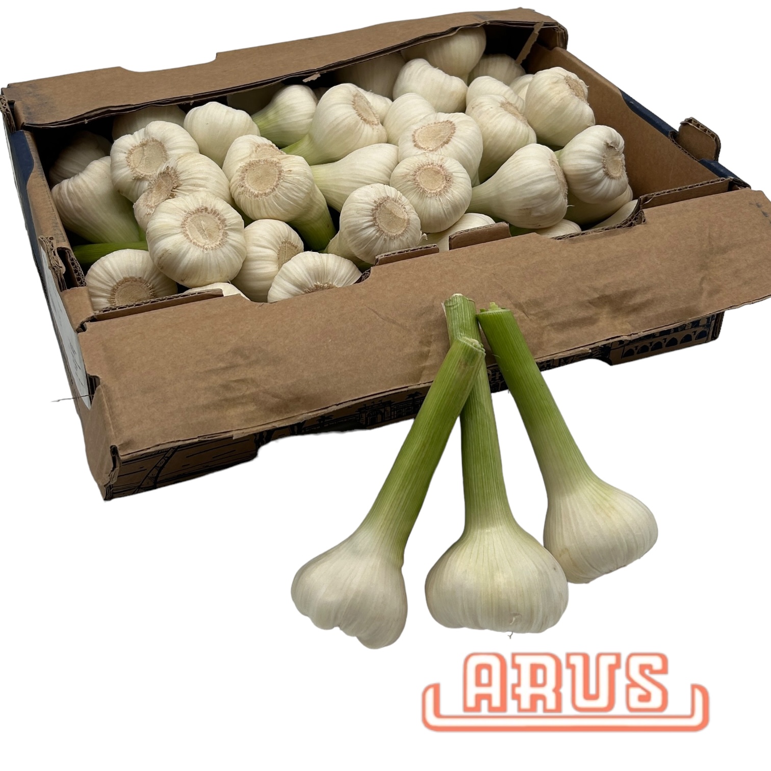 Knoblauch 5kg  "frisch" - ägypt. -