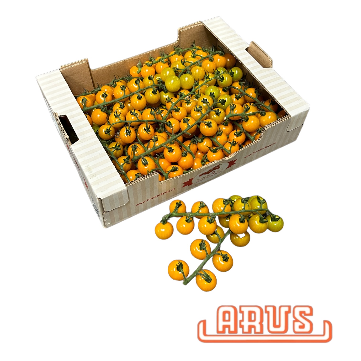 Cherrystraucht.  "gelb" 3kg -T4You-