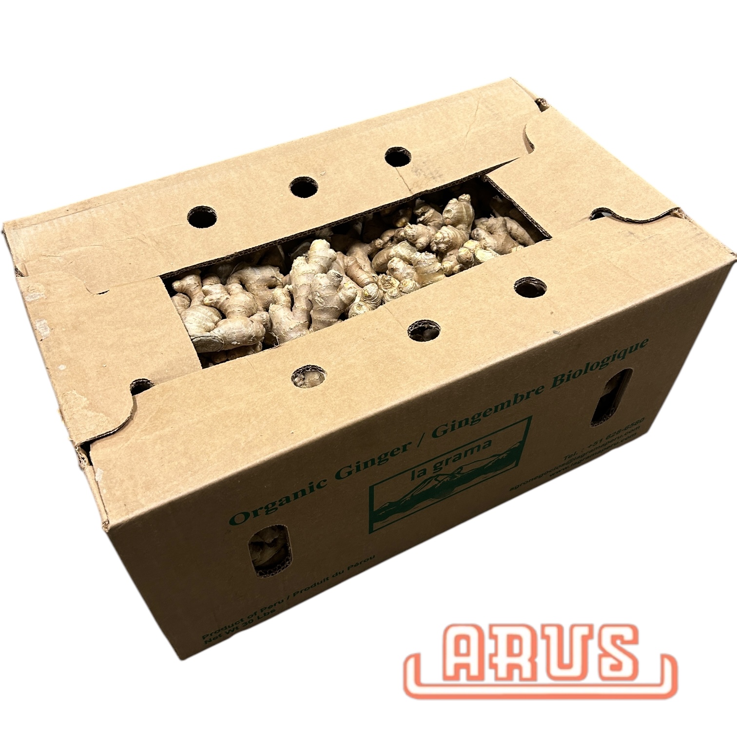 BIO Ingwer 13kg
