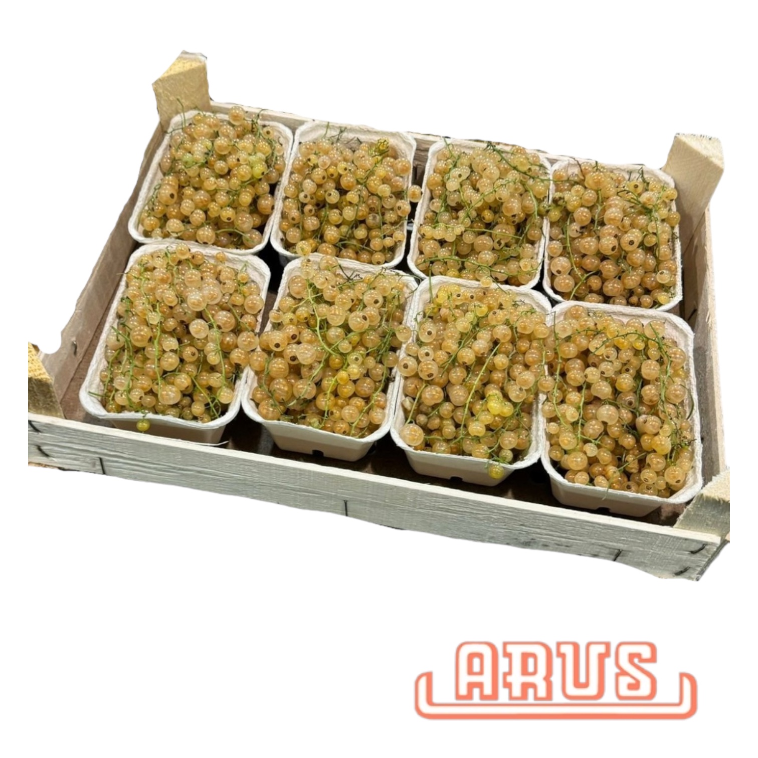 Johannisbeeren weiss 8 x 250g -poln.-