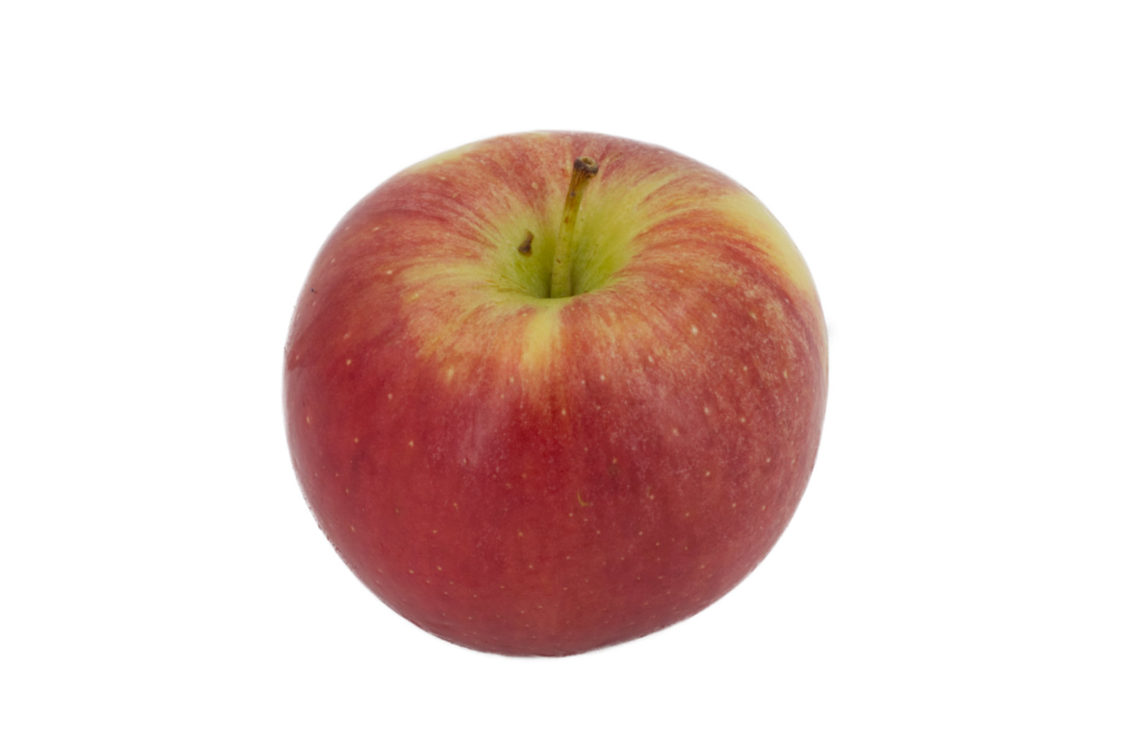 Äpfel Braeburn "gelegt"  6,5kg - neue Ernte -